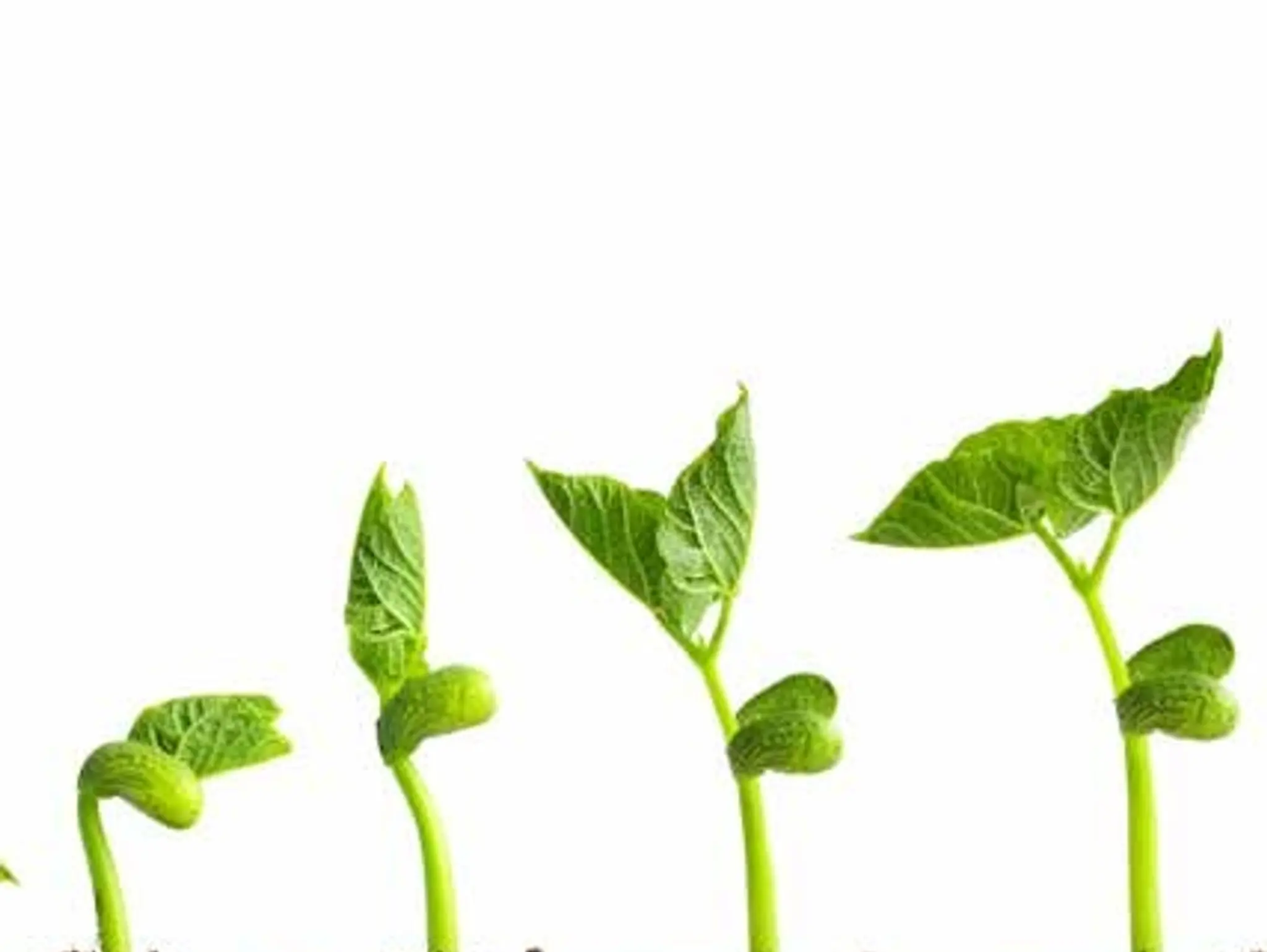 All about Sustainability