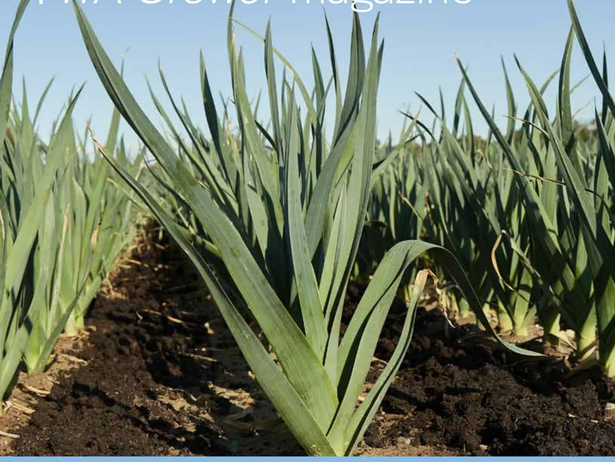 WA Grower