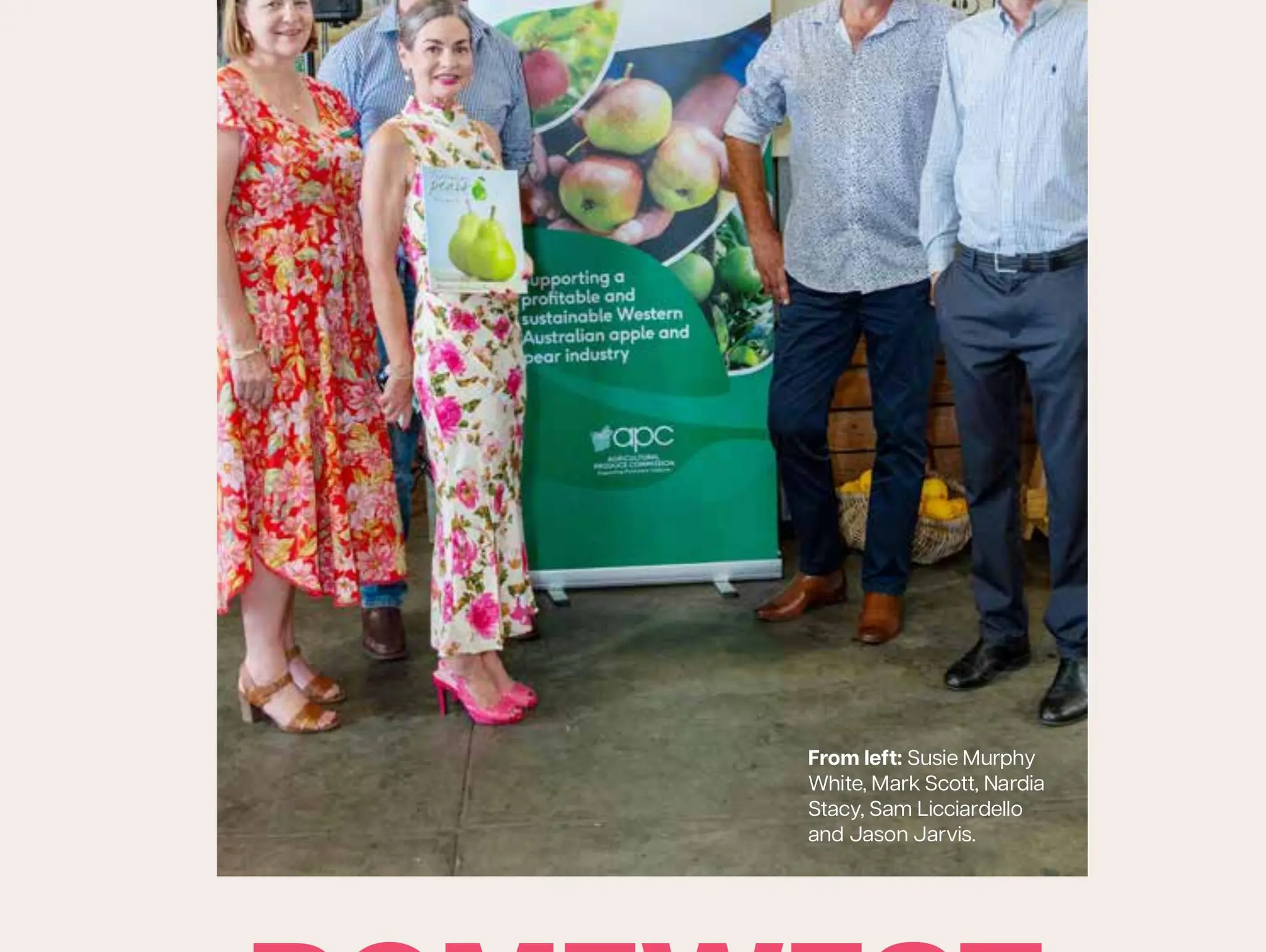 POMEWEST Report