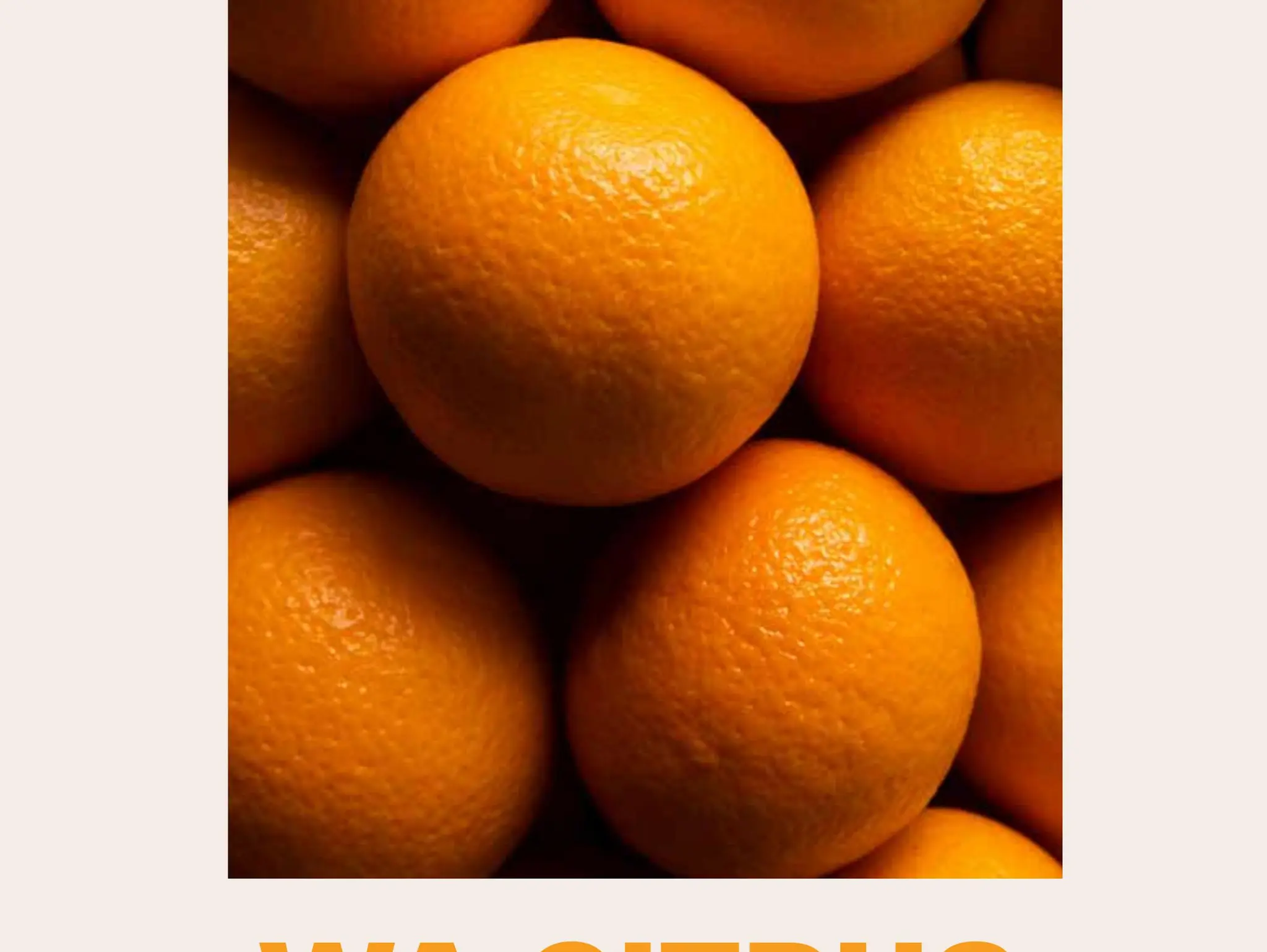 WA CITRUS Report