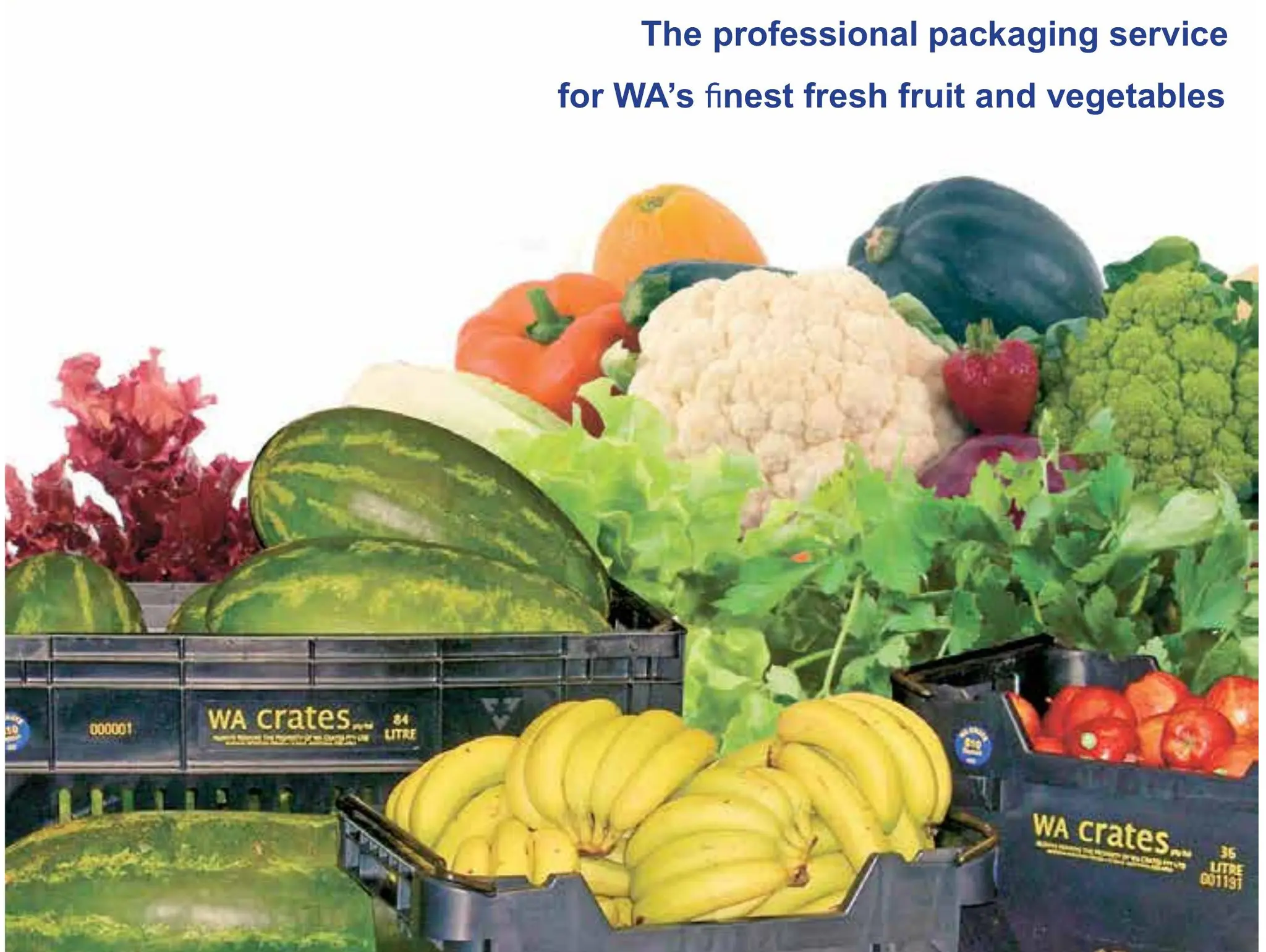 WA crates pty ltd