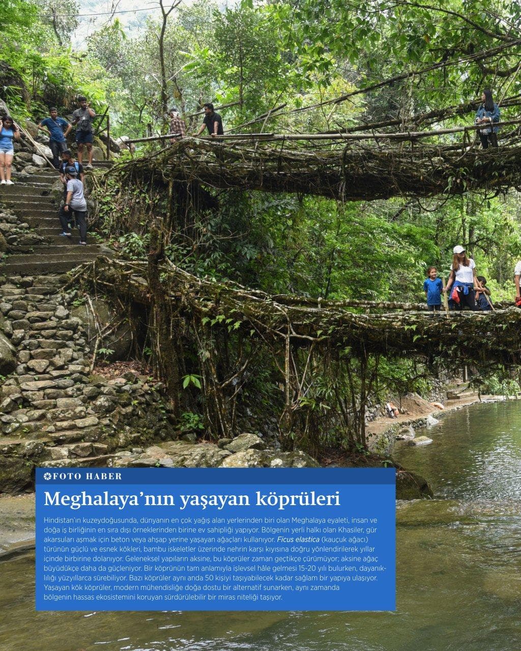 Copy of tarlasera186_Şubat_high.pdf - Page 10