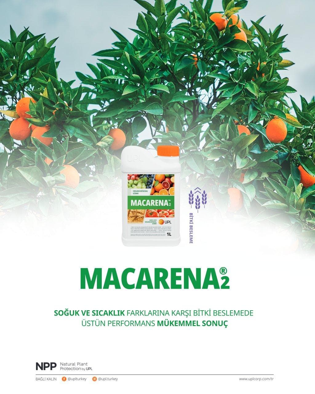 Copy of tarlasera186_Şubat_high.pdf - Page 2