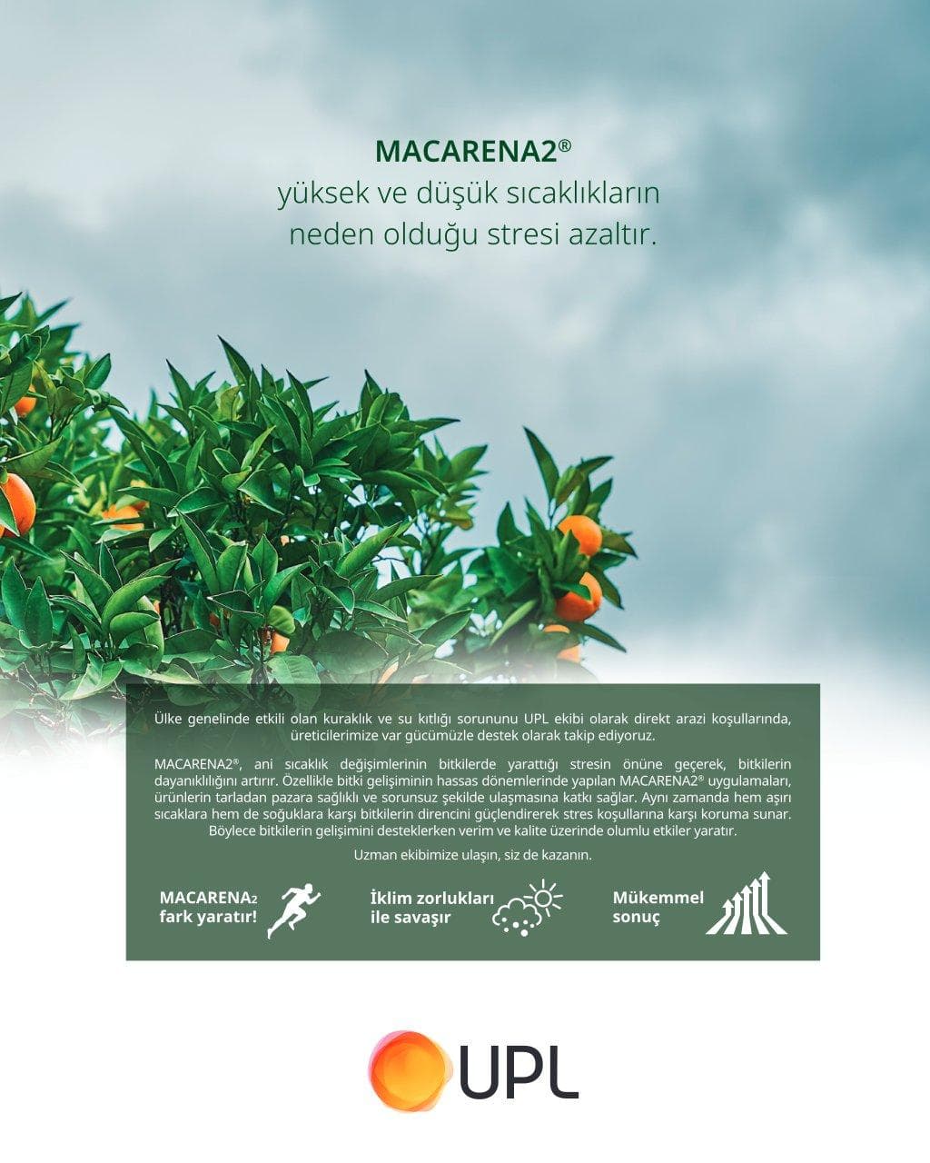 Copy of tarlasera186_Şubat_high.pdf - Page 3