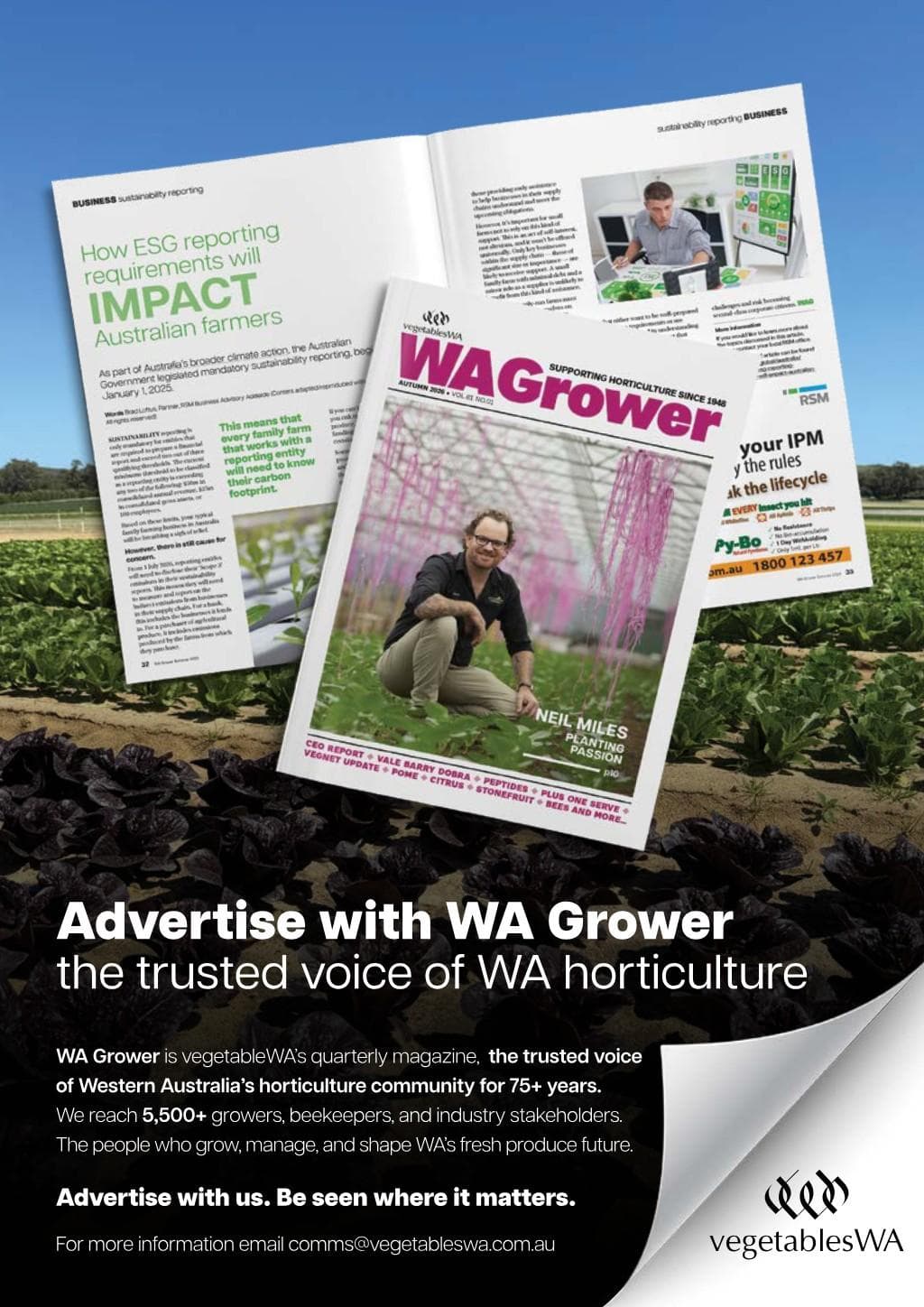 vegetablesWa.pdf - Page 3