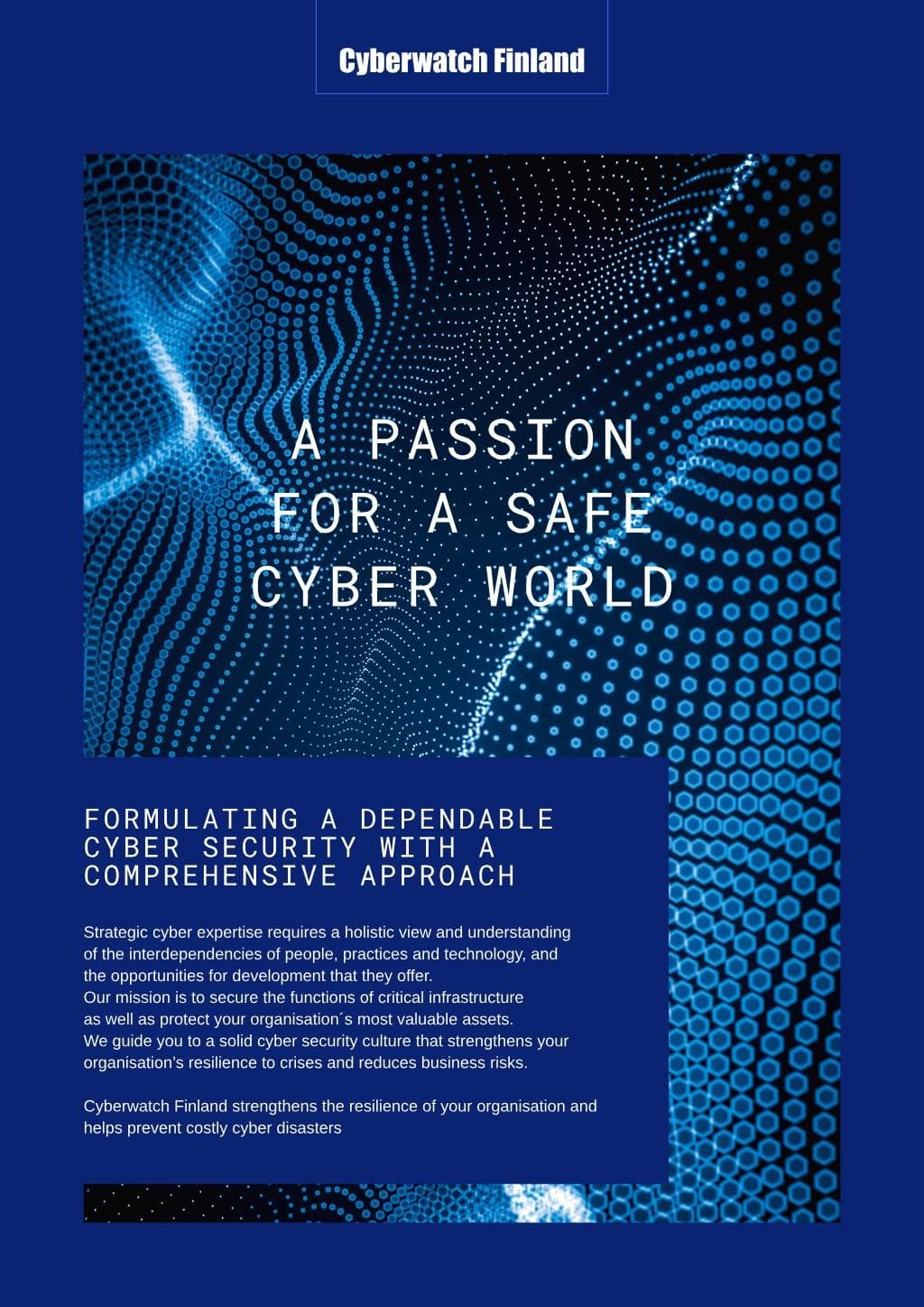 cyberwatch-professional-conversion.pdf - Page 5