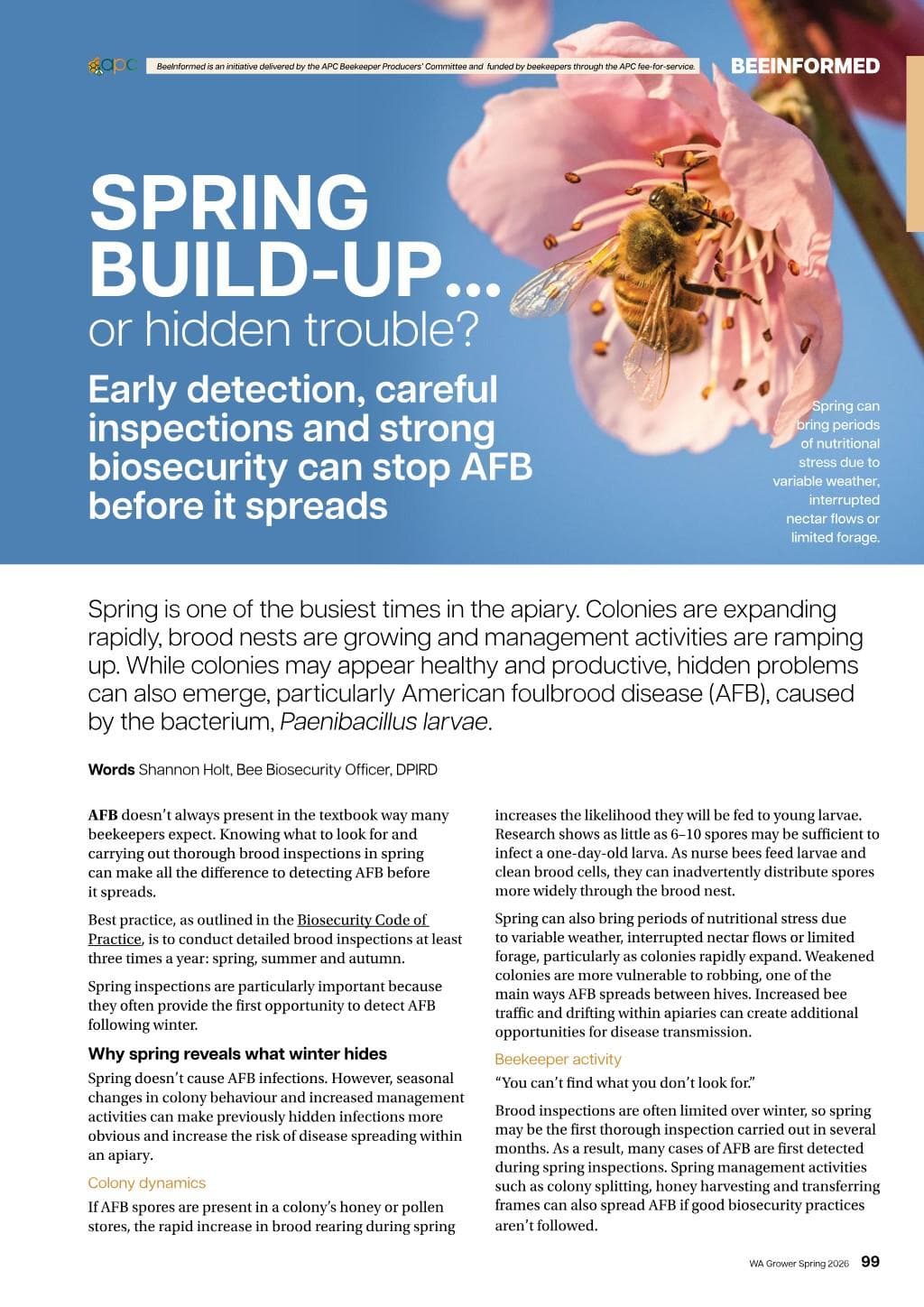 Spring build-up… or hidden trouble?