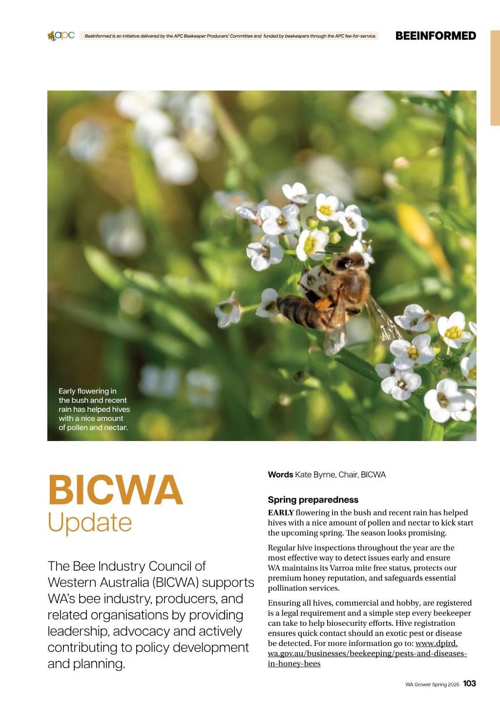 BICWA update