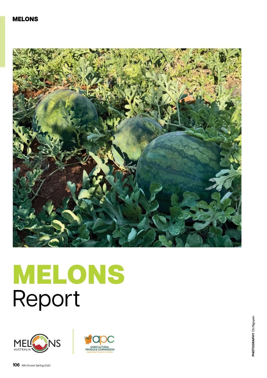 Melons Report