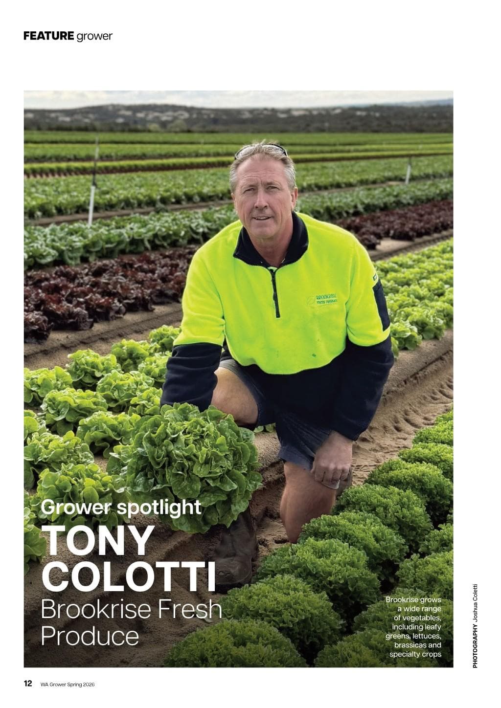 Tony Colotti – Brookrise Fresh Produce