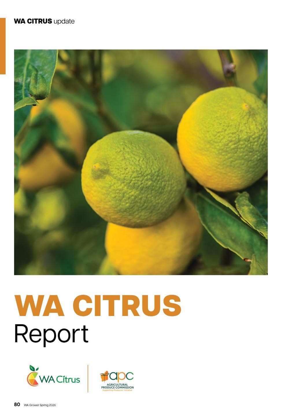 WA Citrus Report