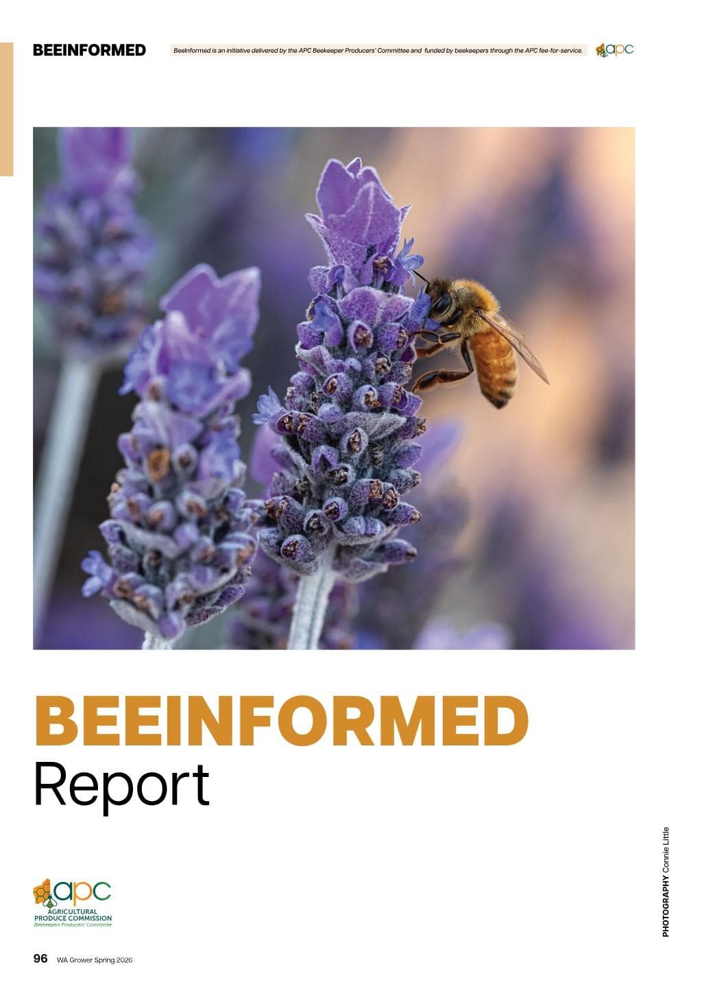 BeeInformed Report