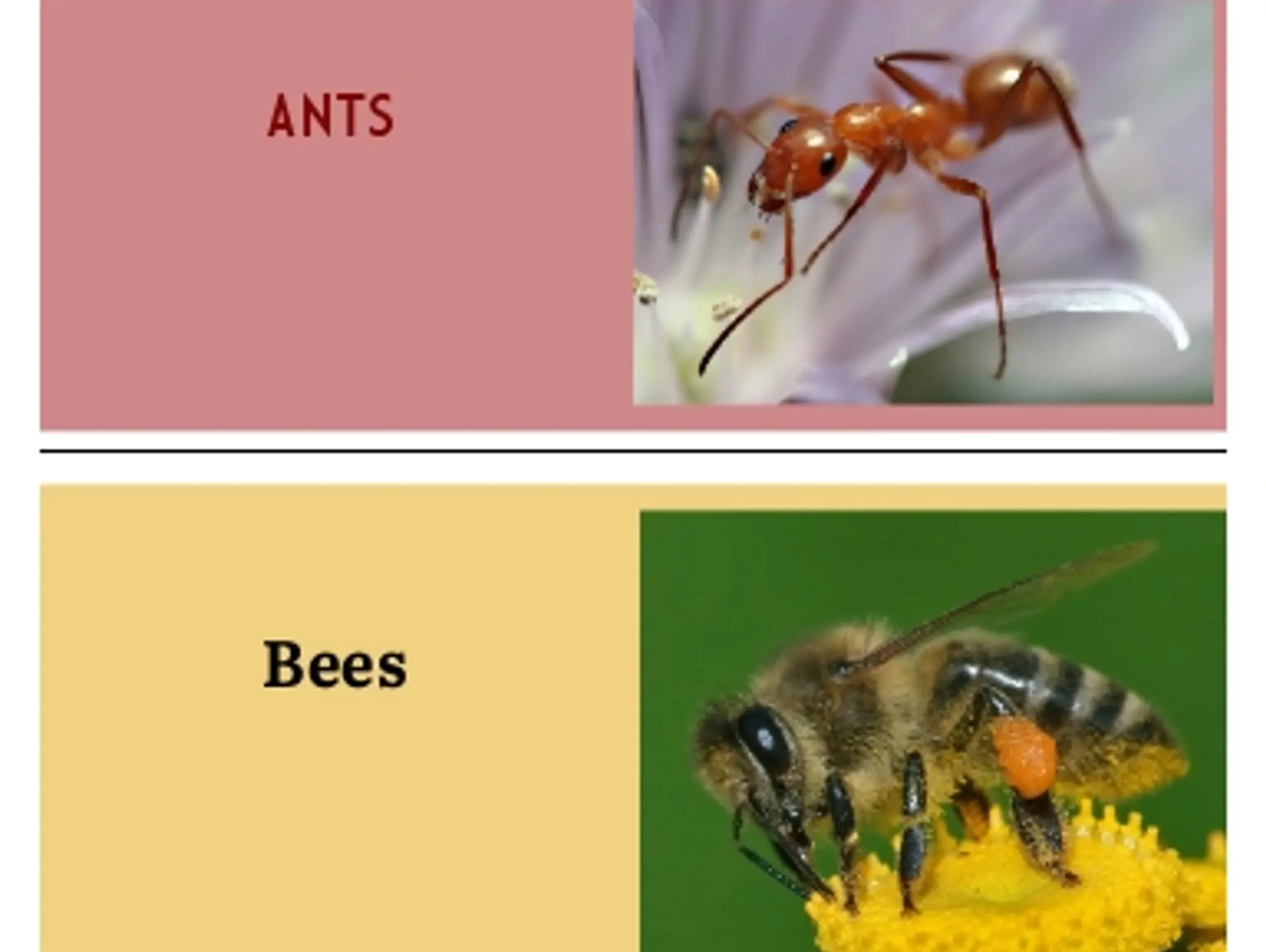 Copy of Table of Contents