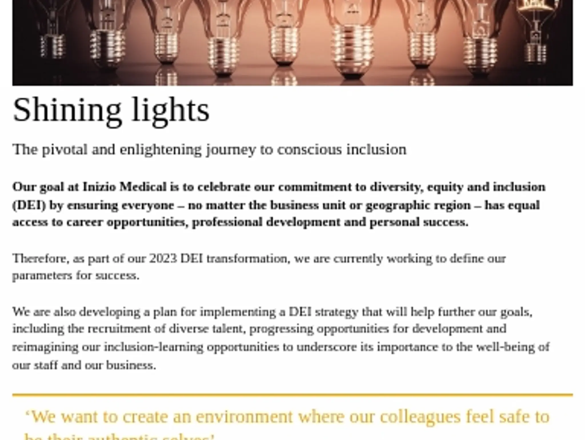 13 - D&I: Shining lights