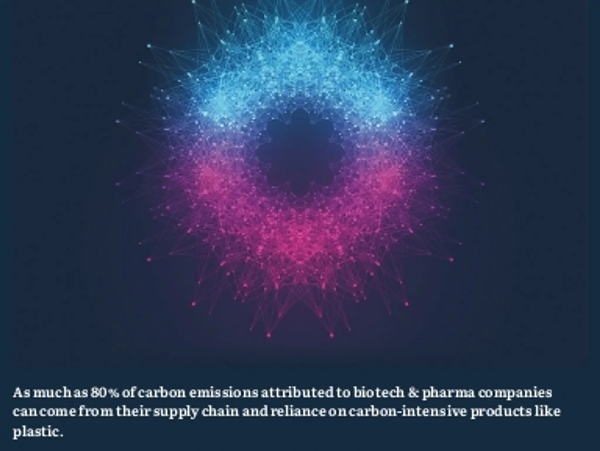 23 - SUSTAINABILITY: Circle of life