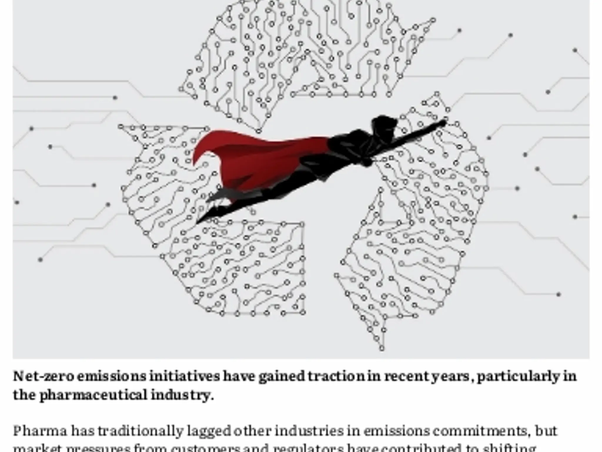 NET ZERO: Zero to hero?