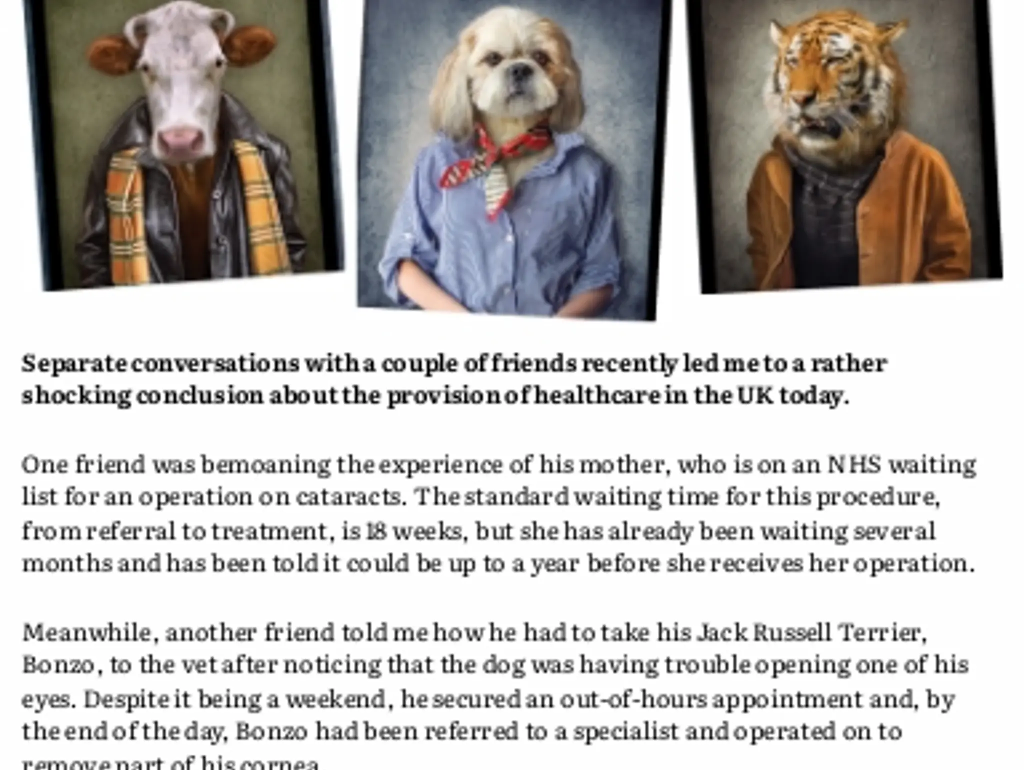 article-item