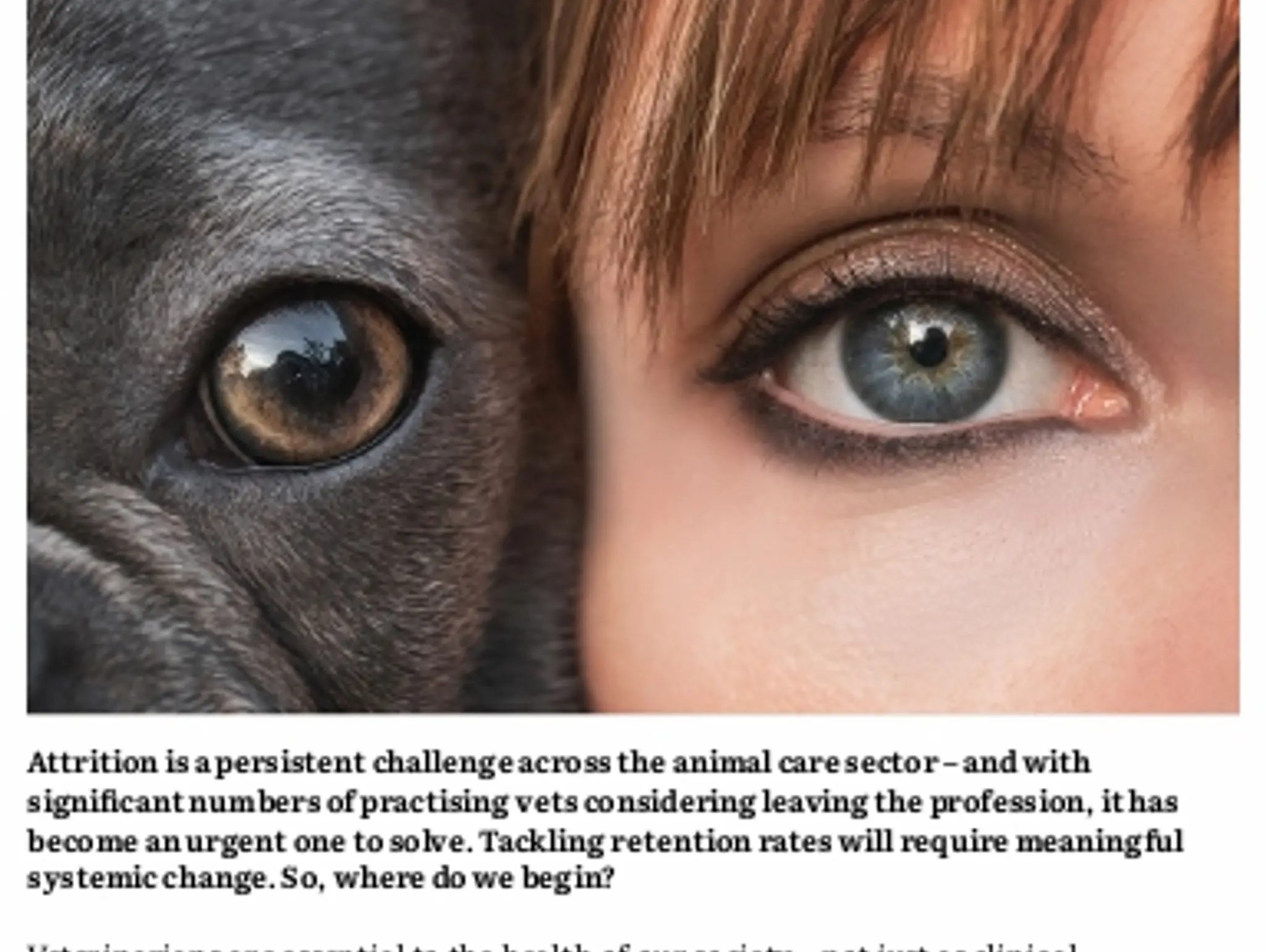 26-27 PUBLIC HEALTH - Animal instincts