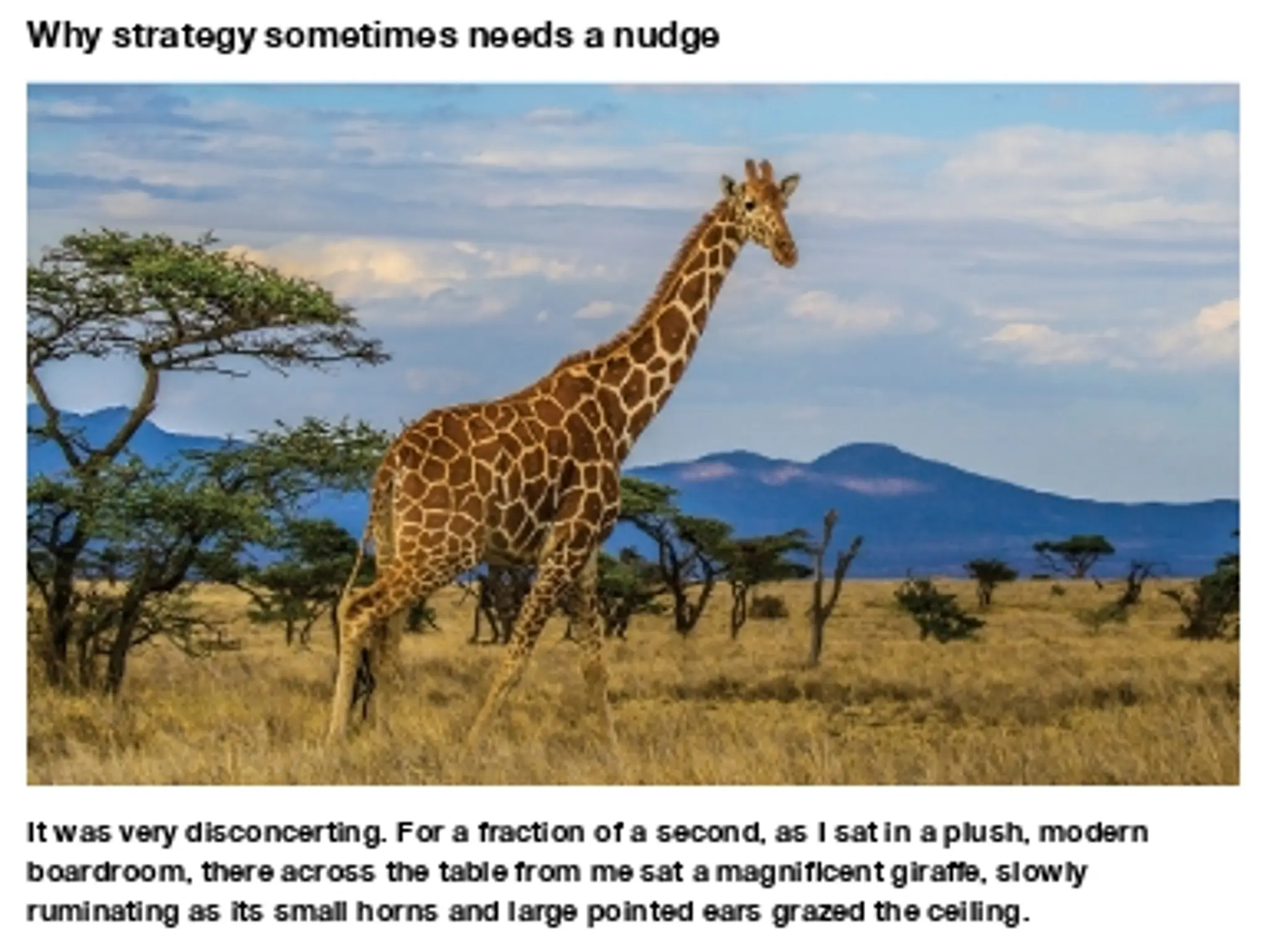 DARWIN'S MEDICINE - Seeing giraffes in the boardroom