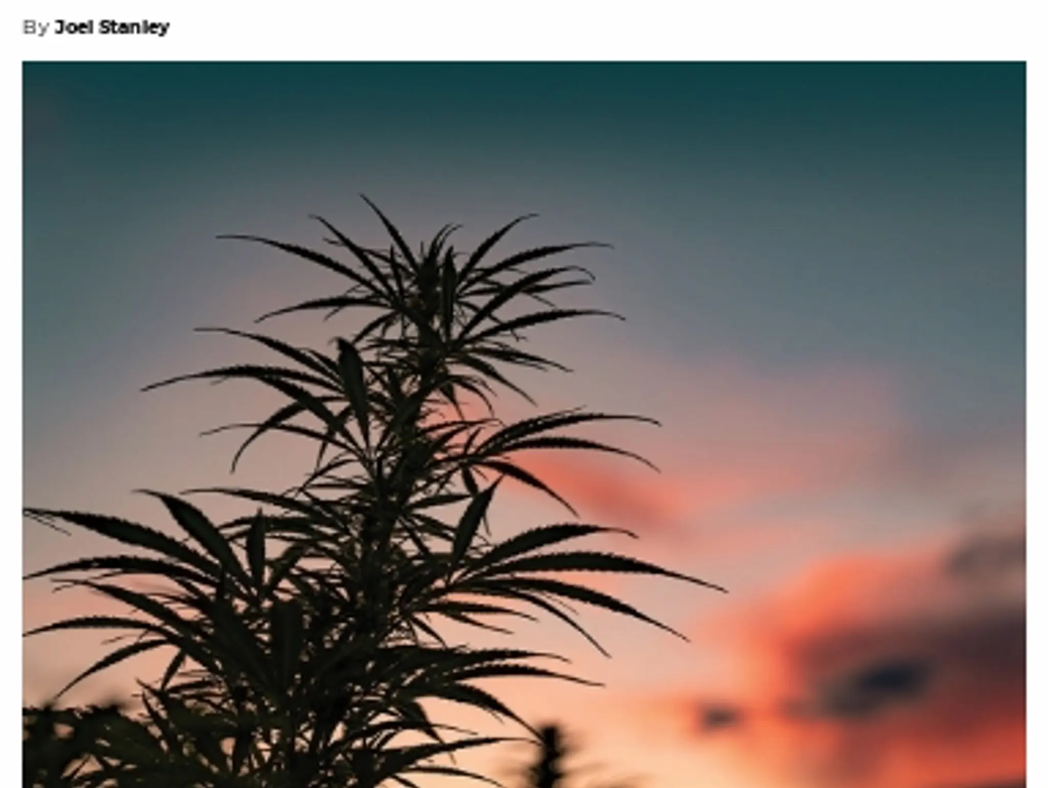 22-23 BOTANICAL DRUGS - Are botanical drugs part of the future of medicine?