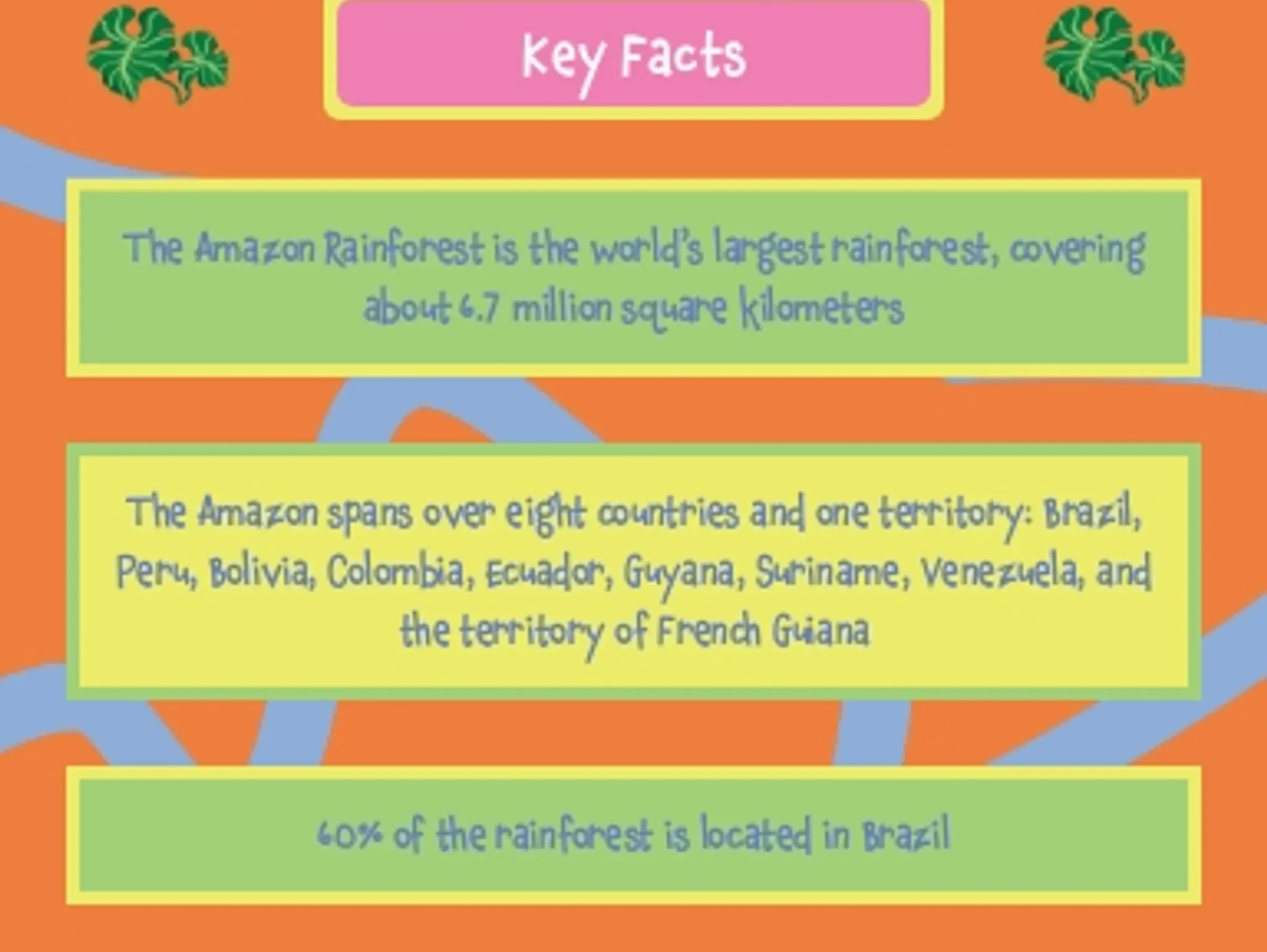 Welcome to the Amazon!