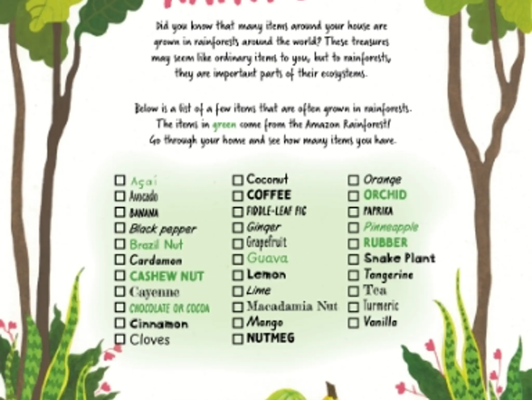 Treasures of the Rainforest