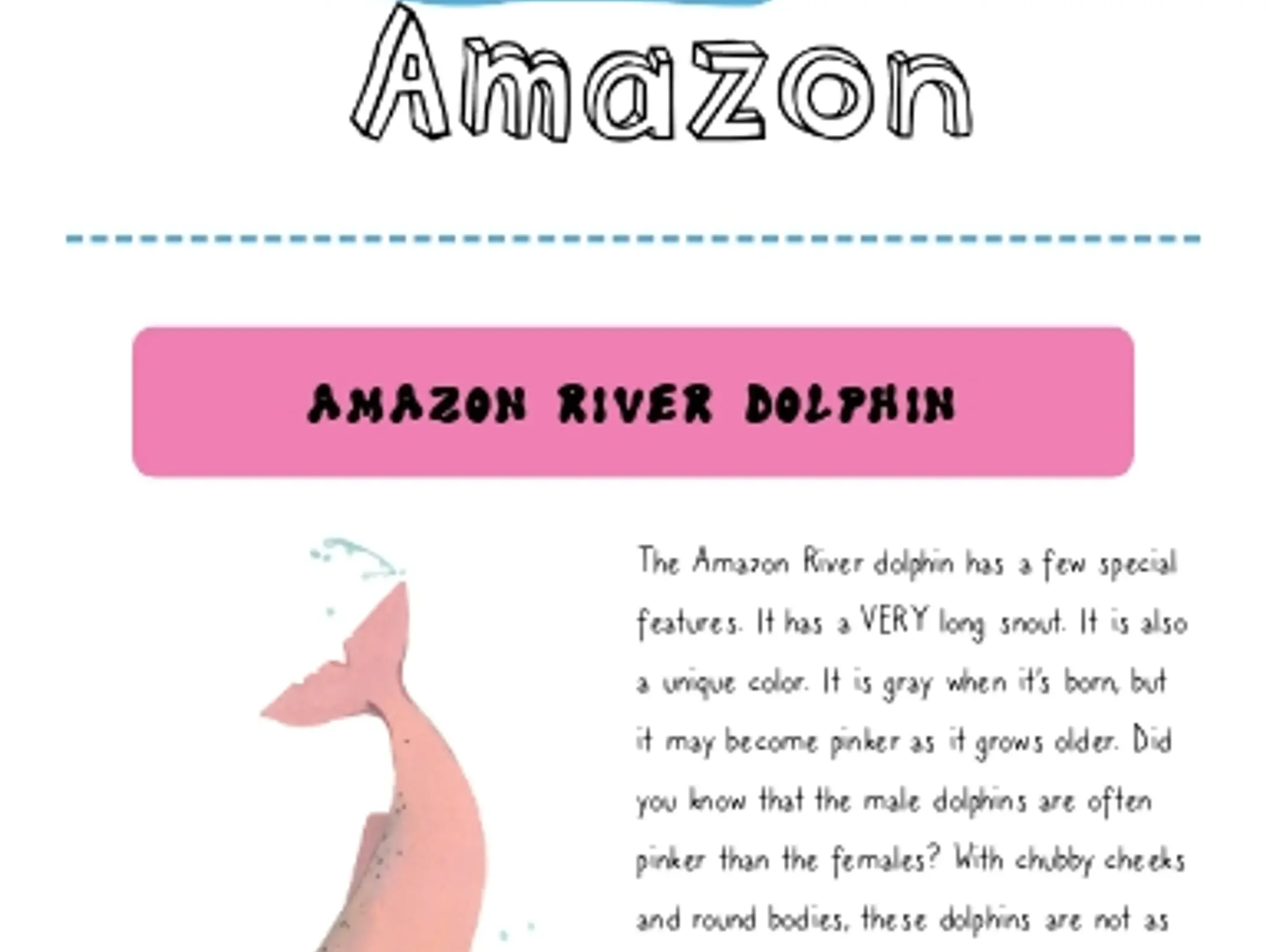 Animals Unique to the Amazon