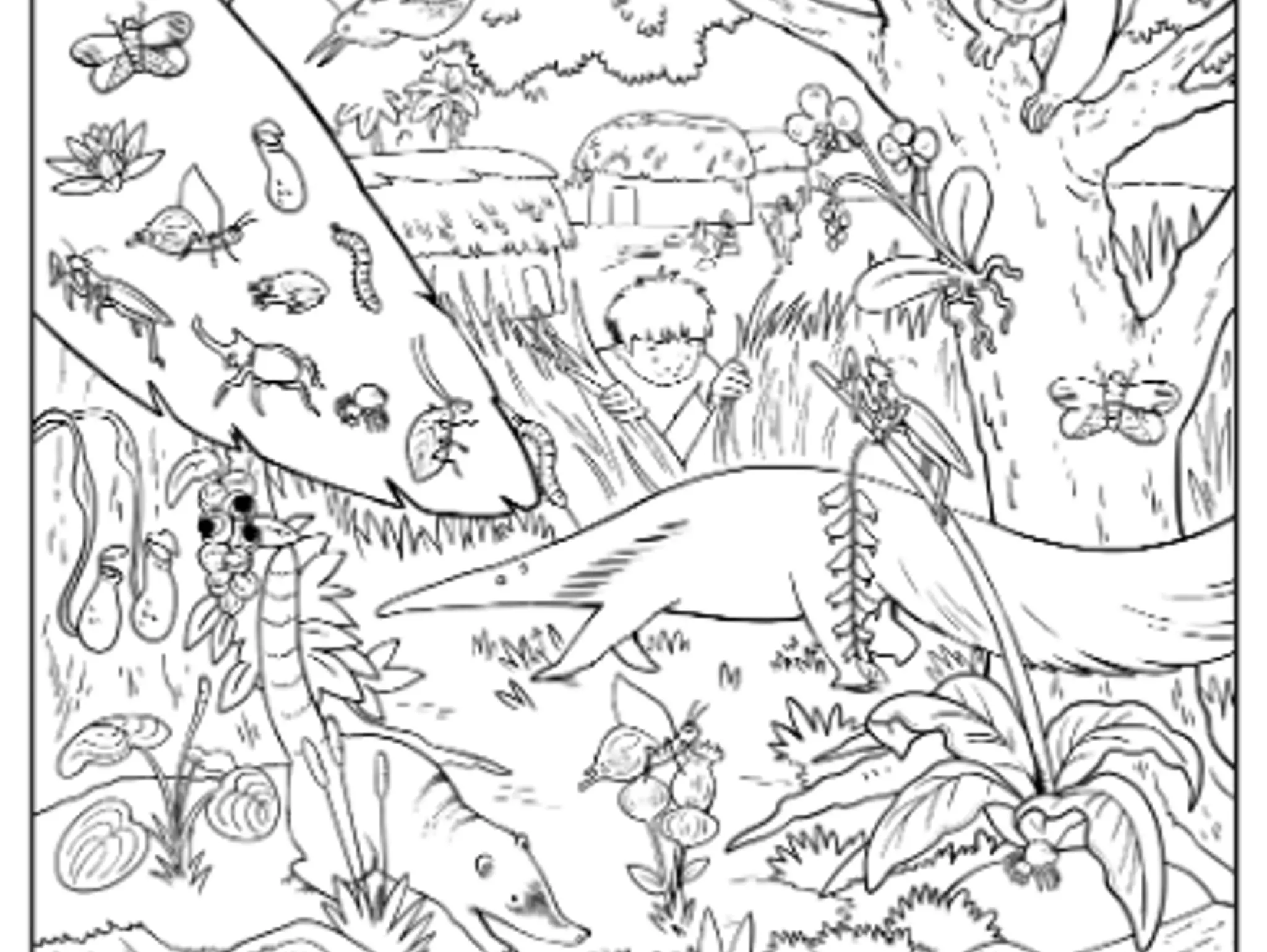 Find the Hidden Pictures