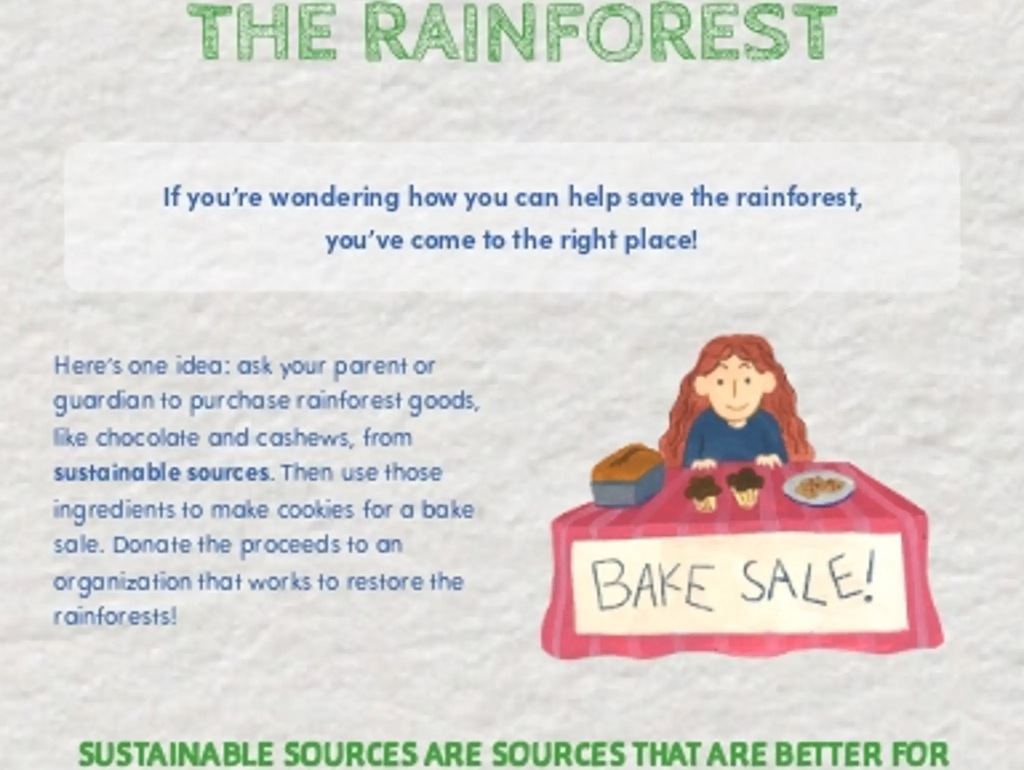 How to Save the Rainforest