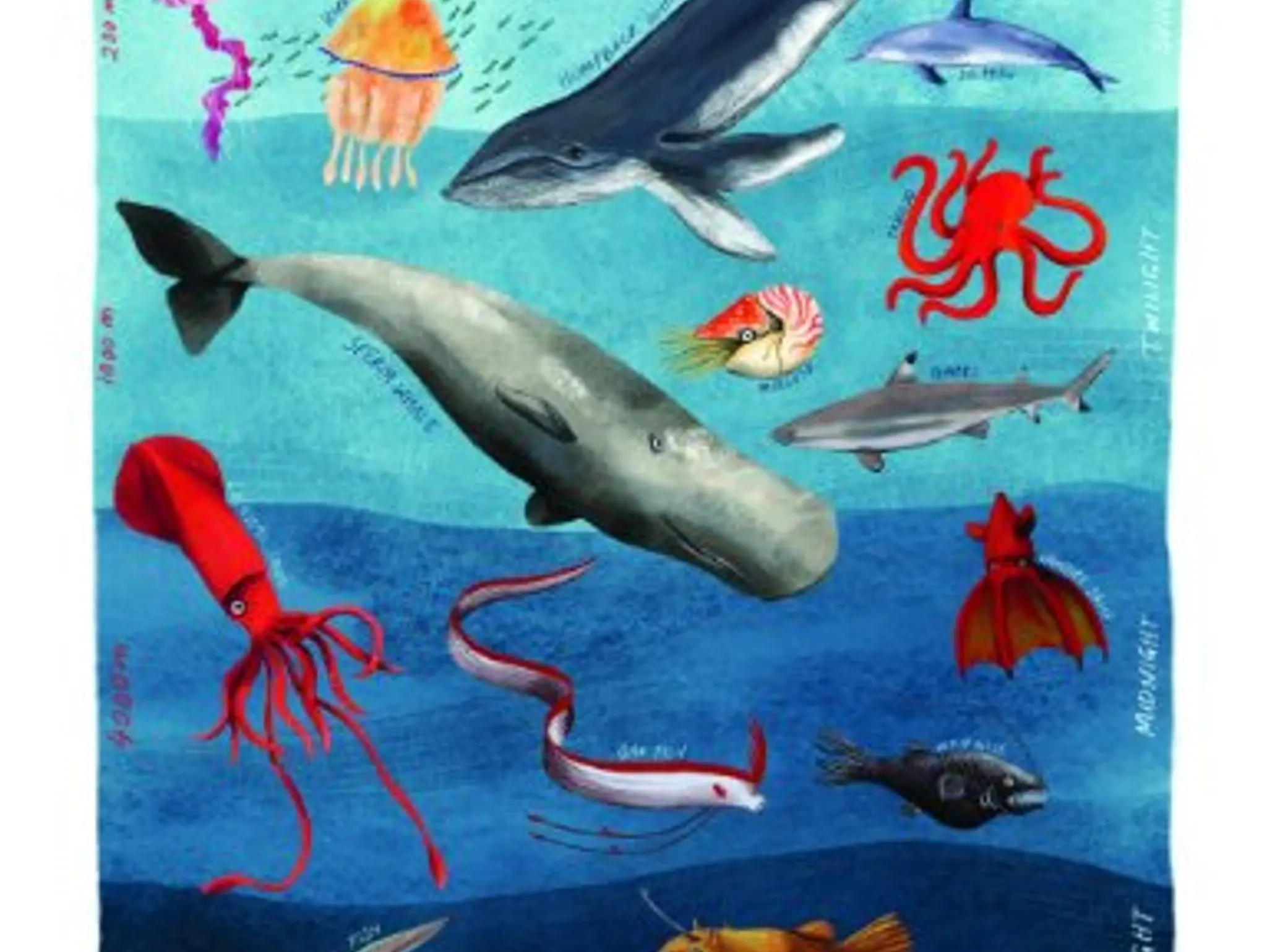 Underwater Animals