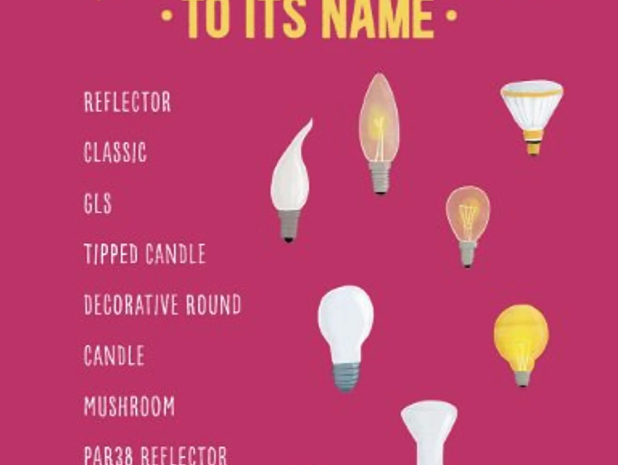 Match the Light Bulb to its Name