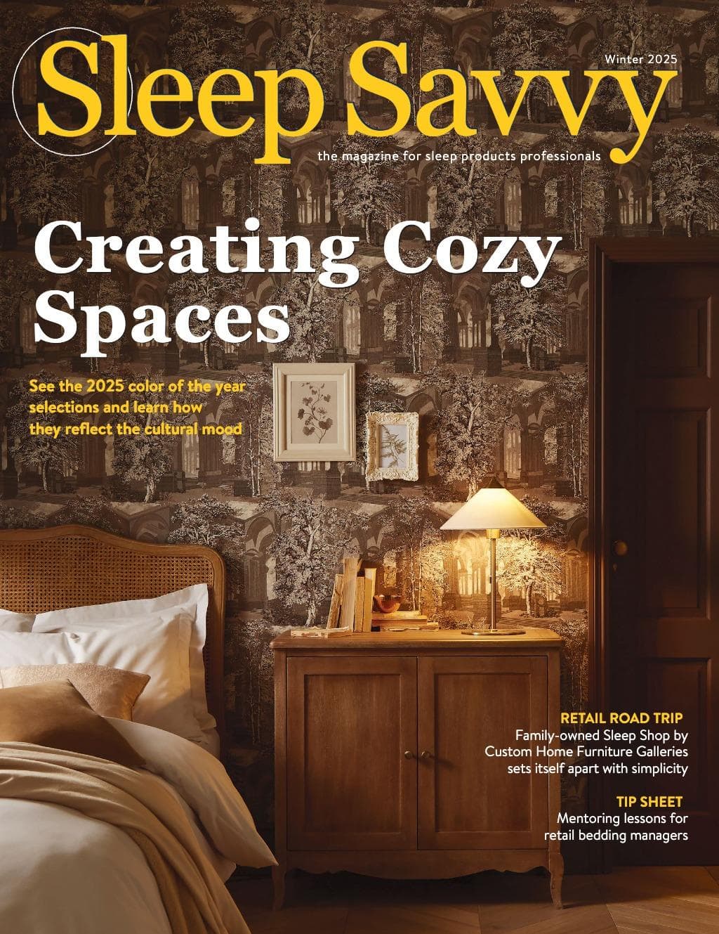 Creating Cozy Spaces Professional Demo Conversion