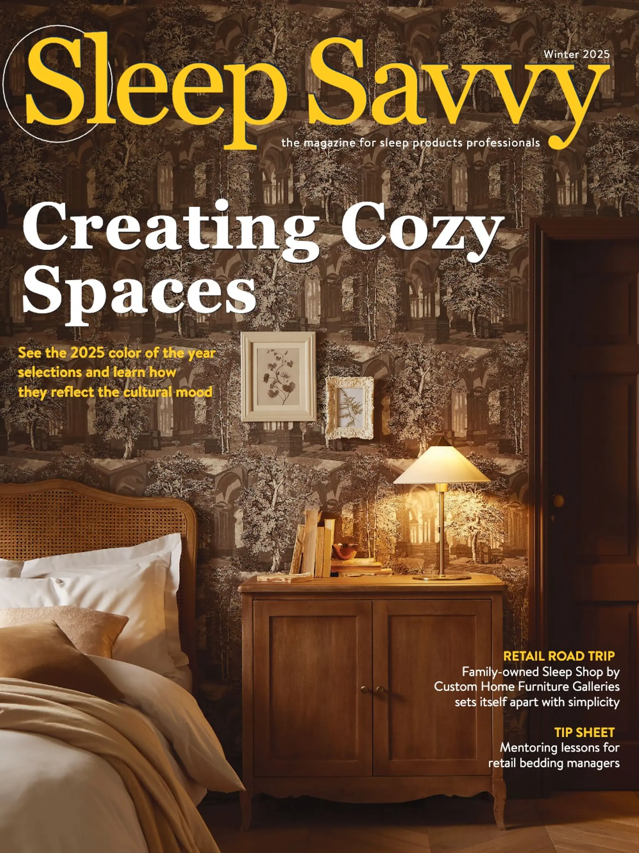 Creating Cozy Spaces Professional Demo Conversion