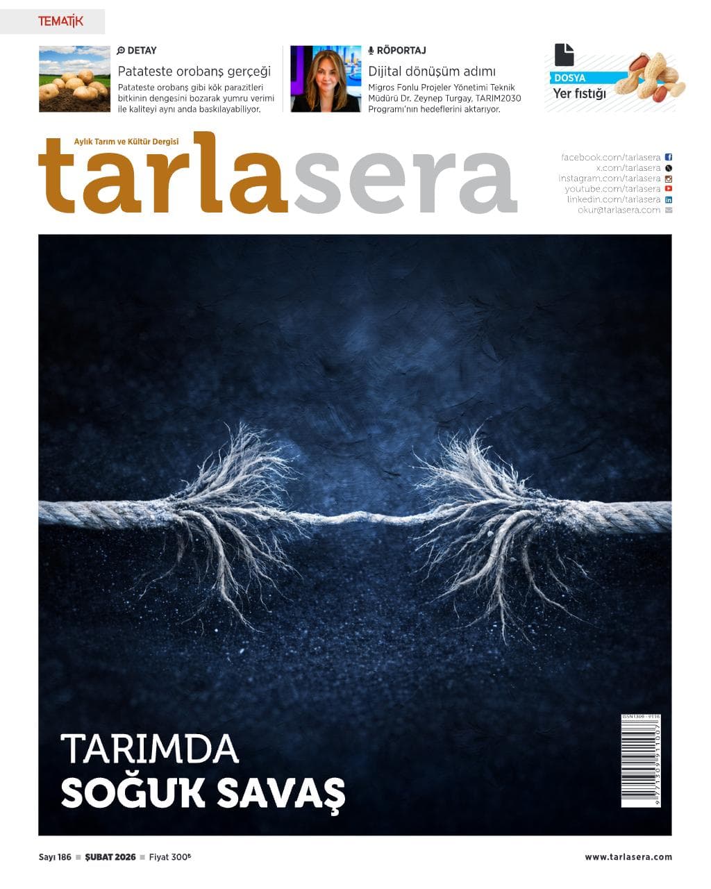 Tarlasera - Professional Conversion Demo