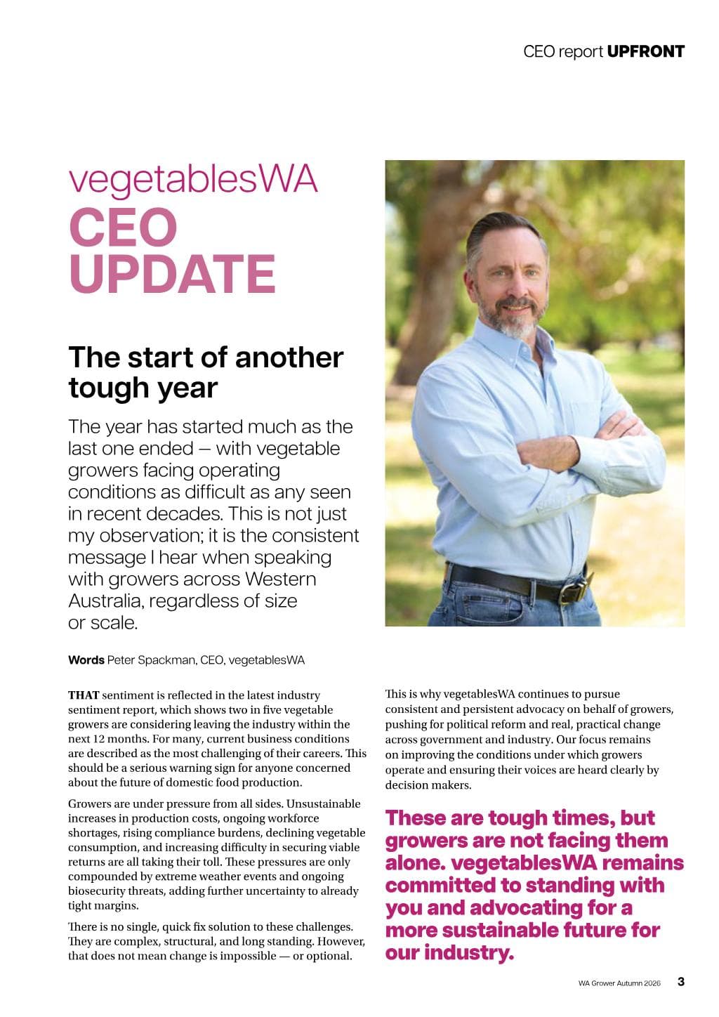 vegetablesWa (AI Conversion)
