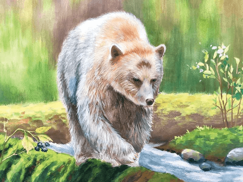 Focus In | Get to Know Your Wild Neighbors