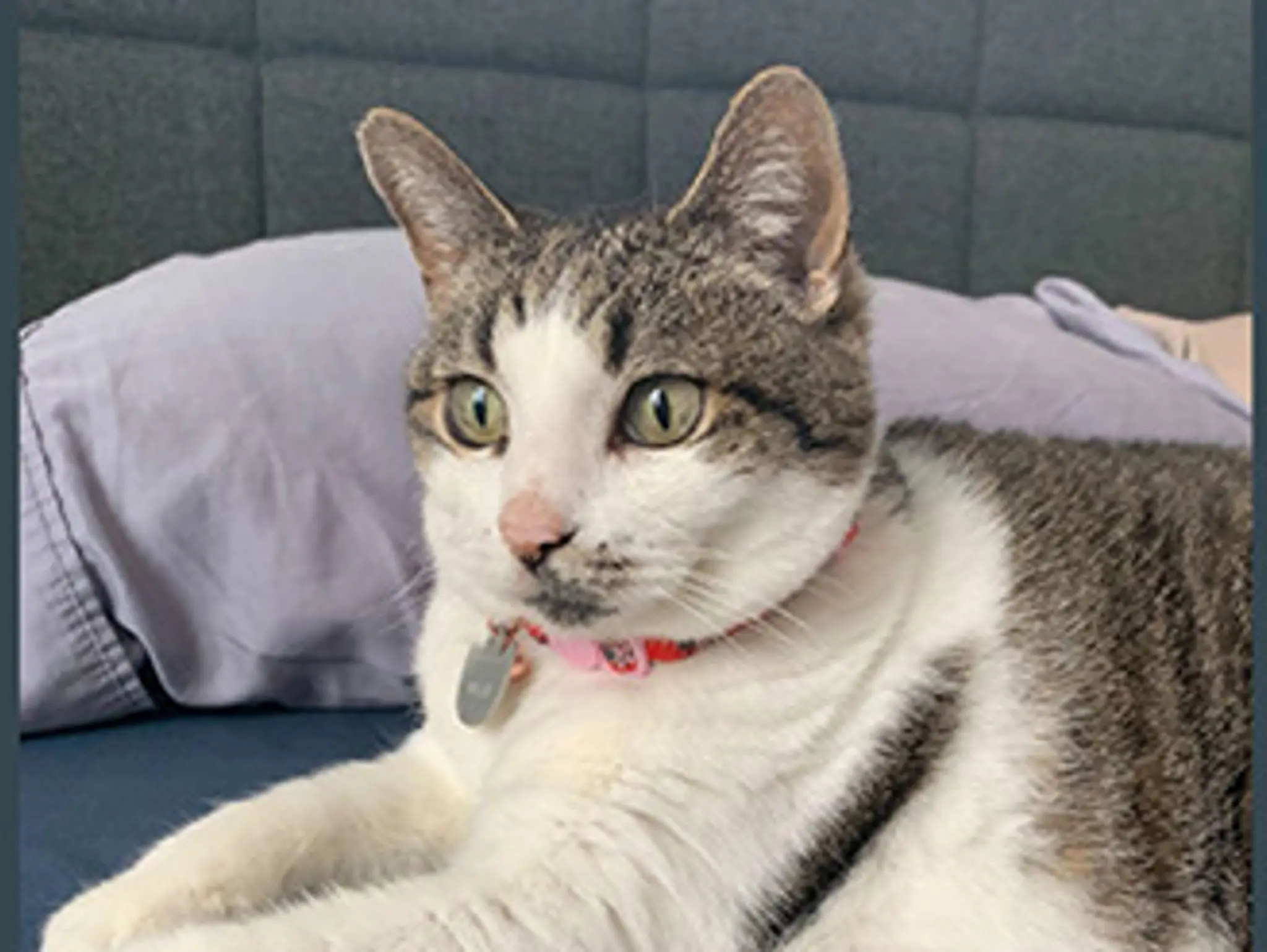 The Mindful Studio: Mindful Seeing and Photography