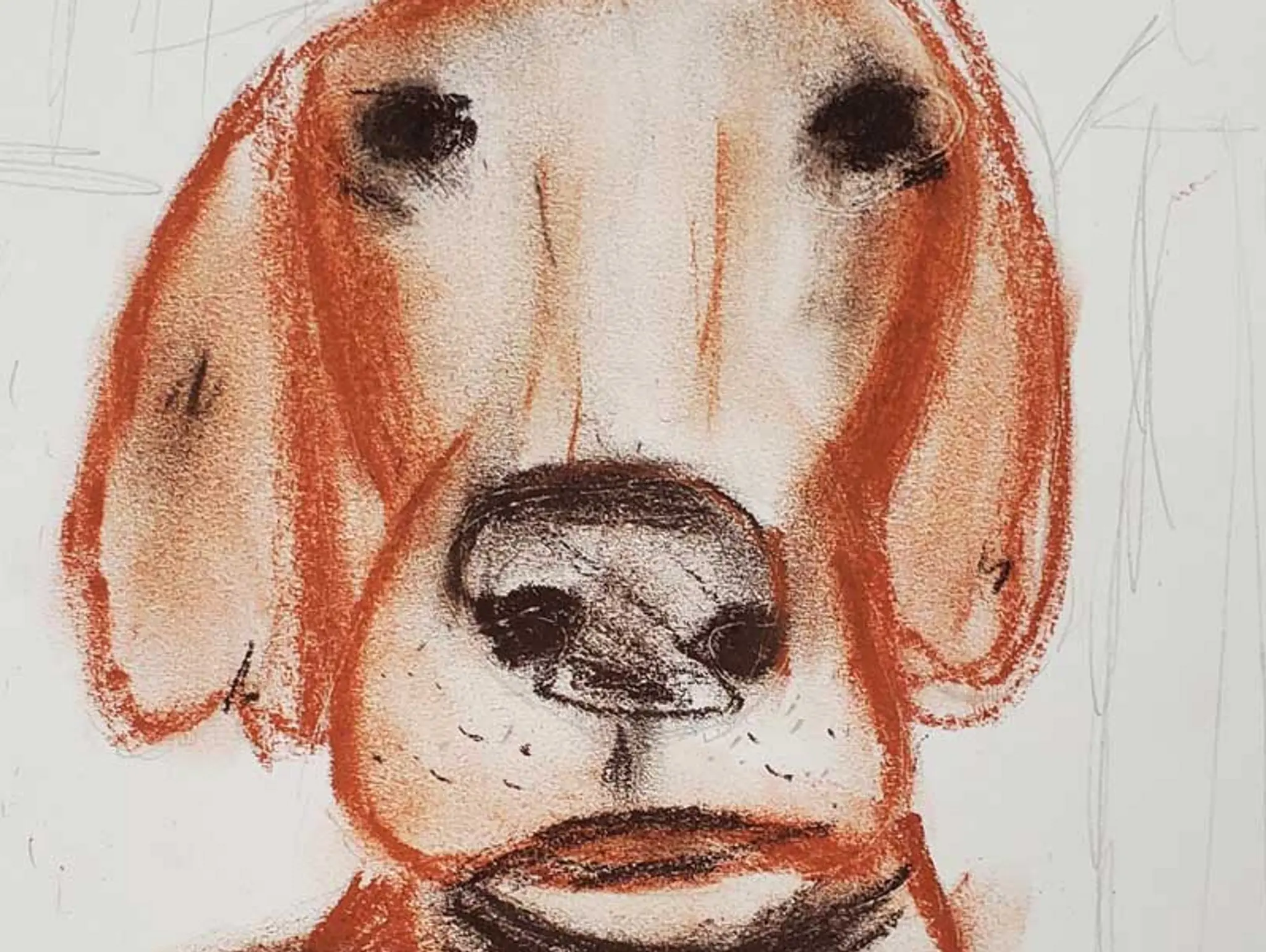 ClipCard: Perspective Drawing