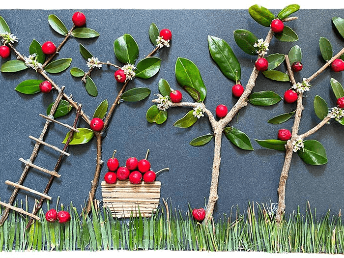 The Wonders of Nature 