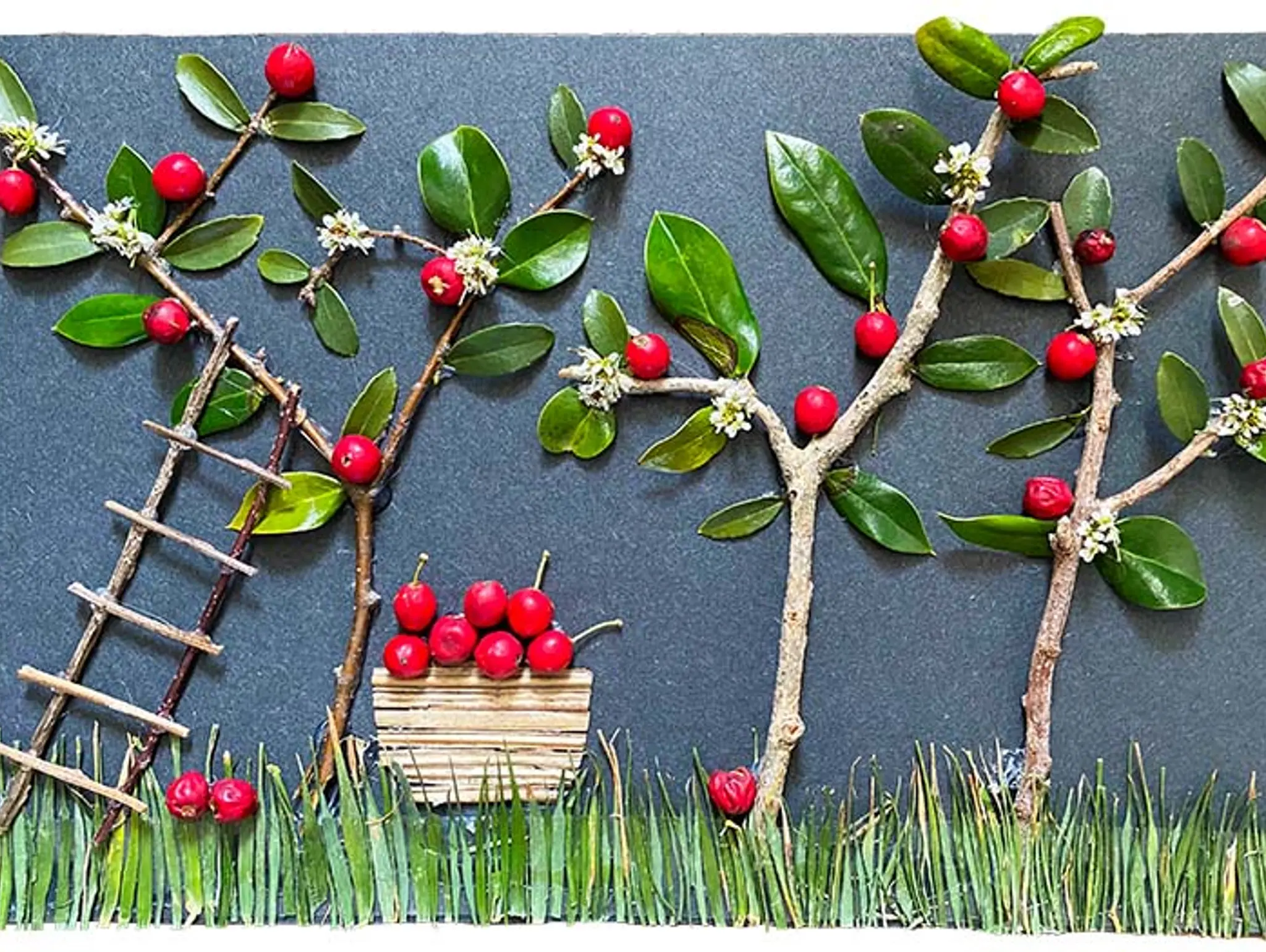 The Wonders of Nature