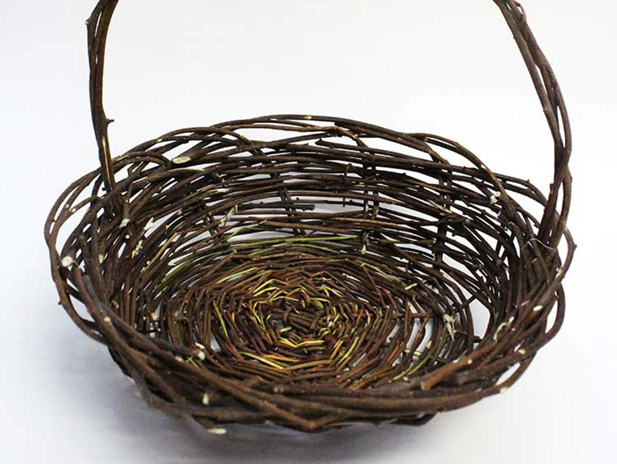 Eco Art: Fostering Environmental Advocacy