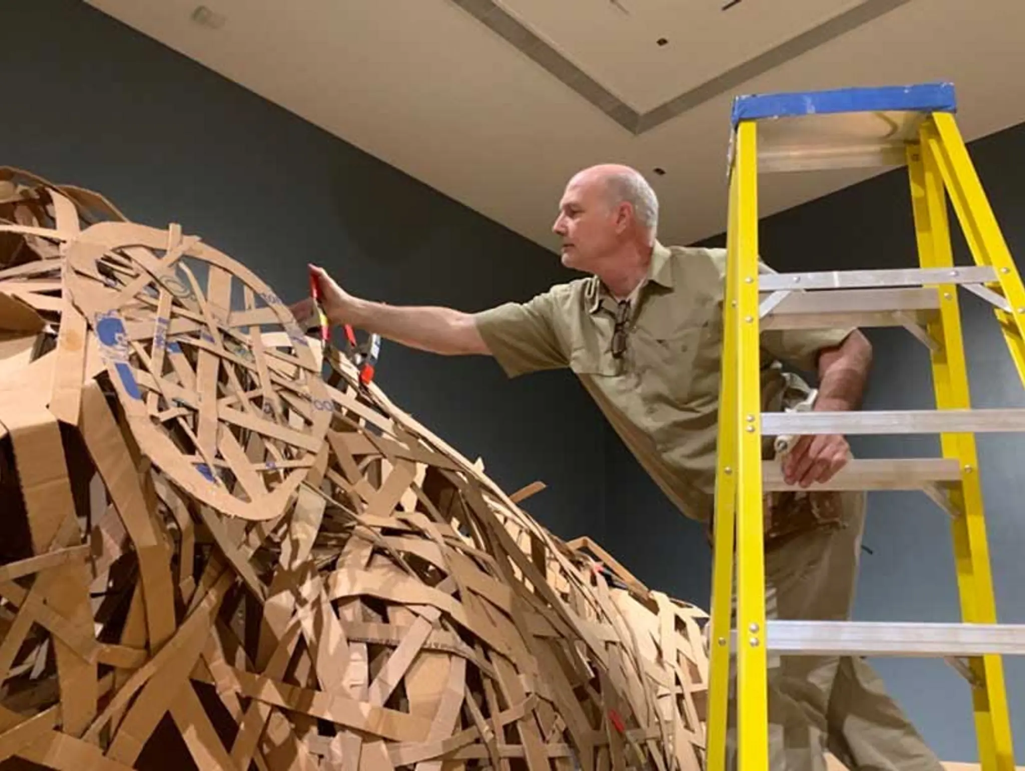 Co-Editor's Letter: Choice