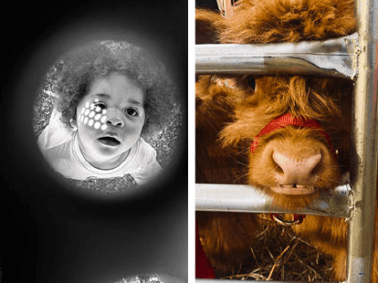 Copy of Advocacy in Focus: Picturing the Impact on Student Engagement