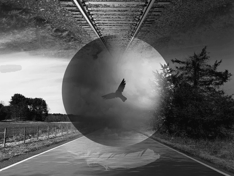 Manipulative Photomontage