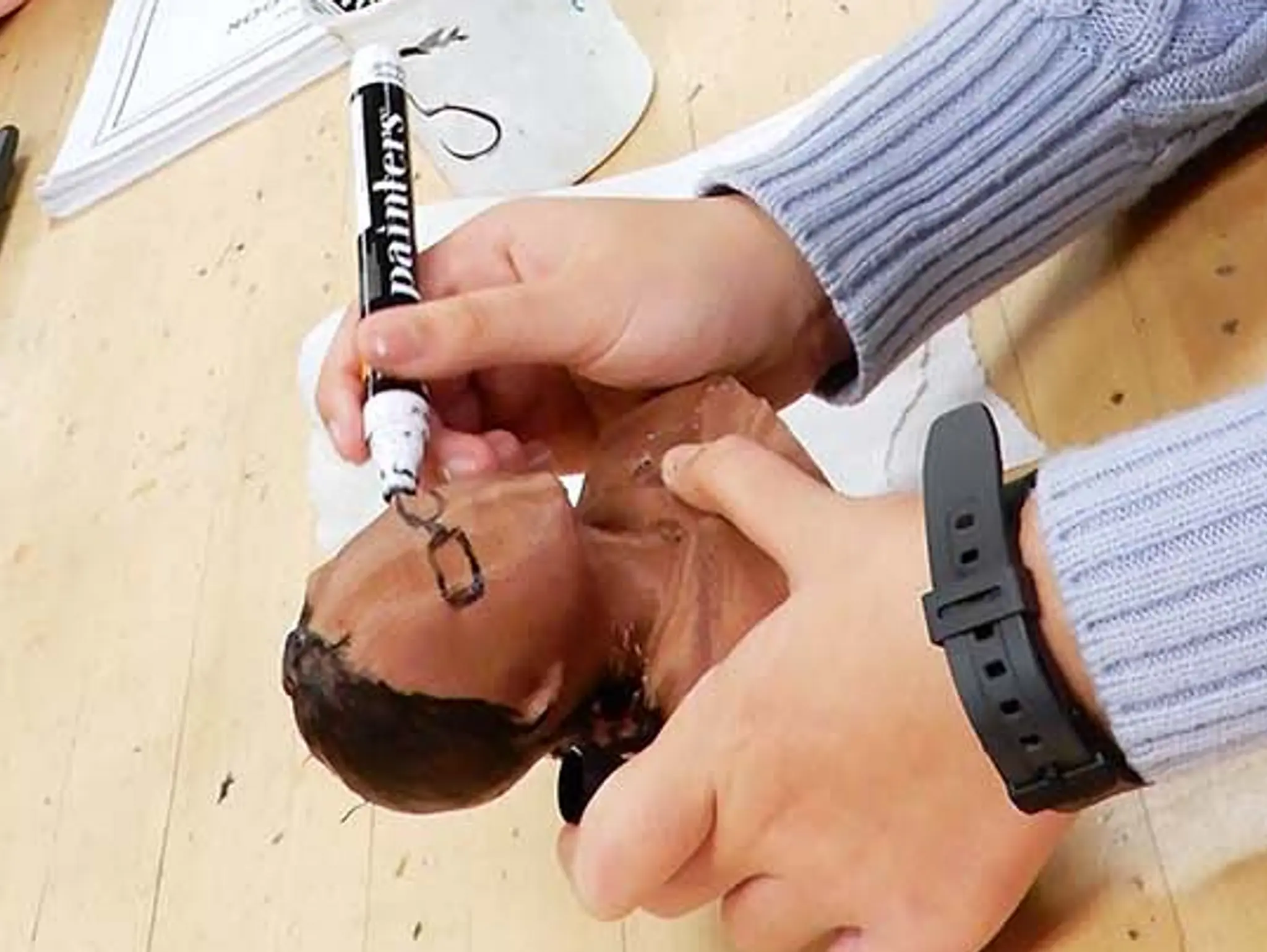 Portraits in Three Dimensions