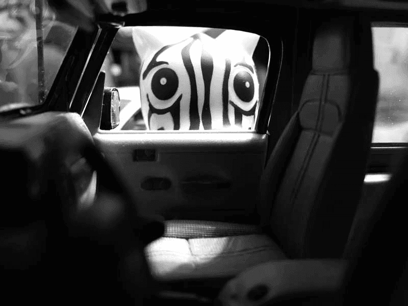 Go Play with Your Toys!