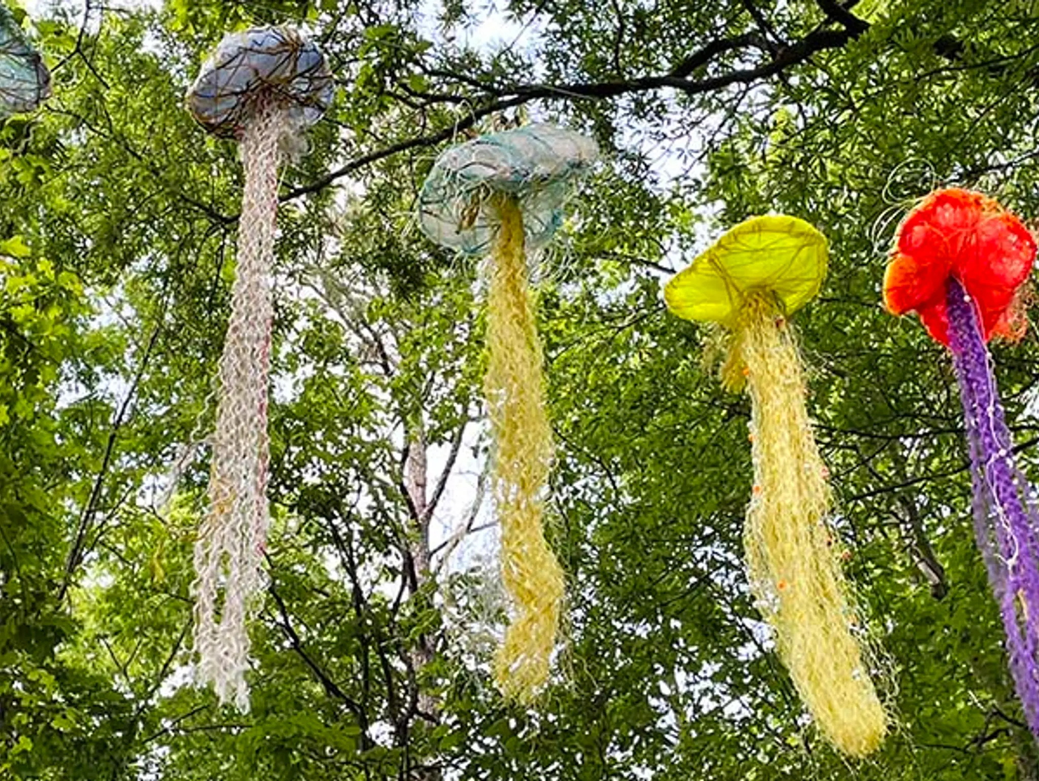 SMACK! Collaborating for Impact