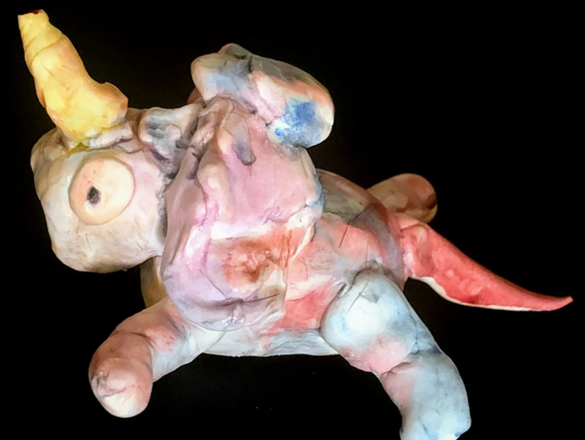 Inspirational Creatures