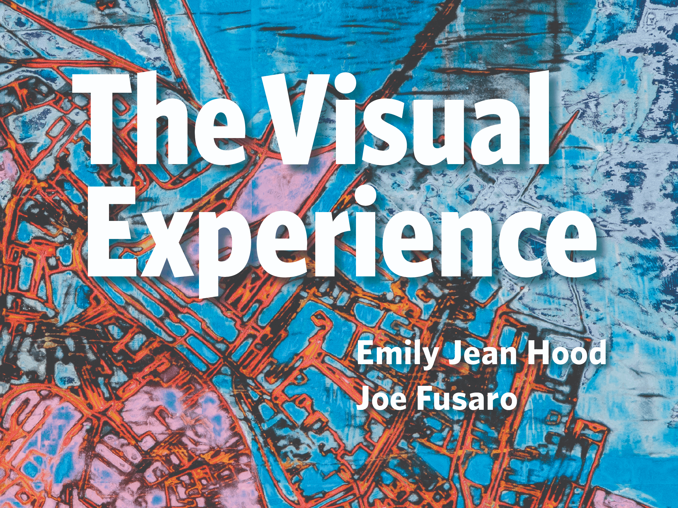 The Visual Experience from Davis