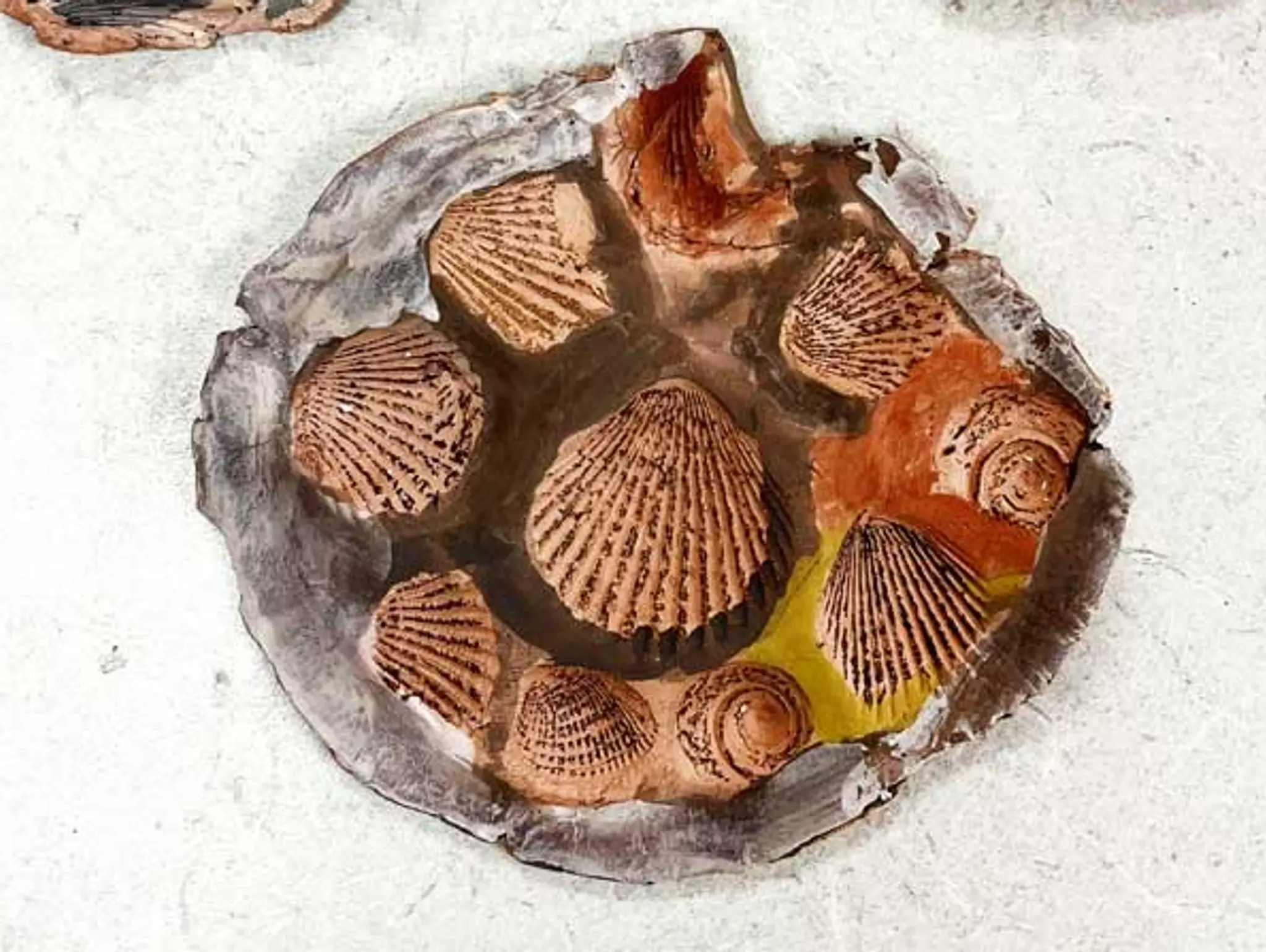 Early Childhood ClipCard: Clay Fossils